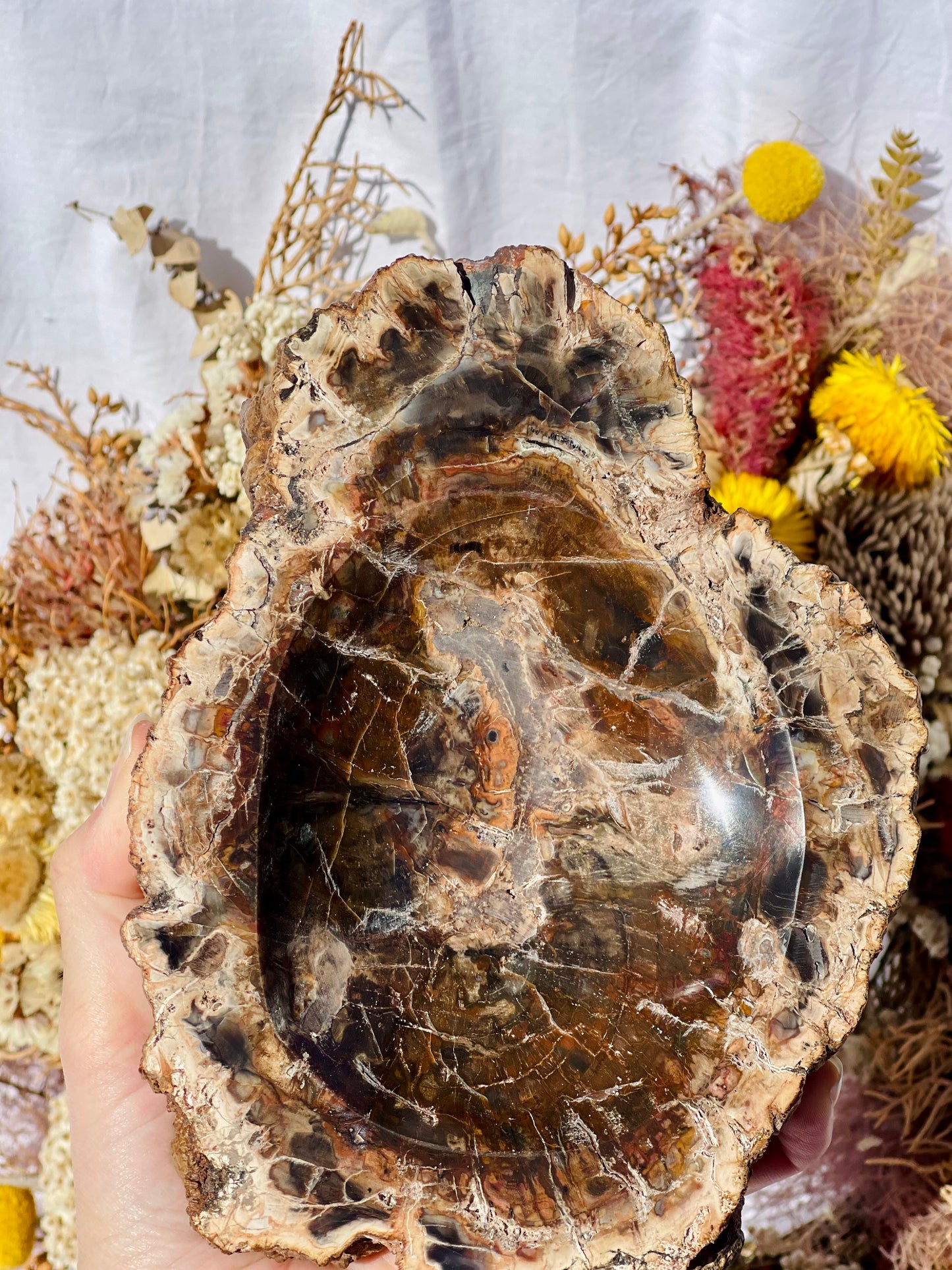 Petrified Wood Bowl