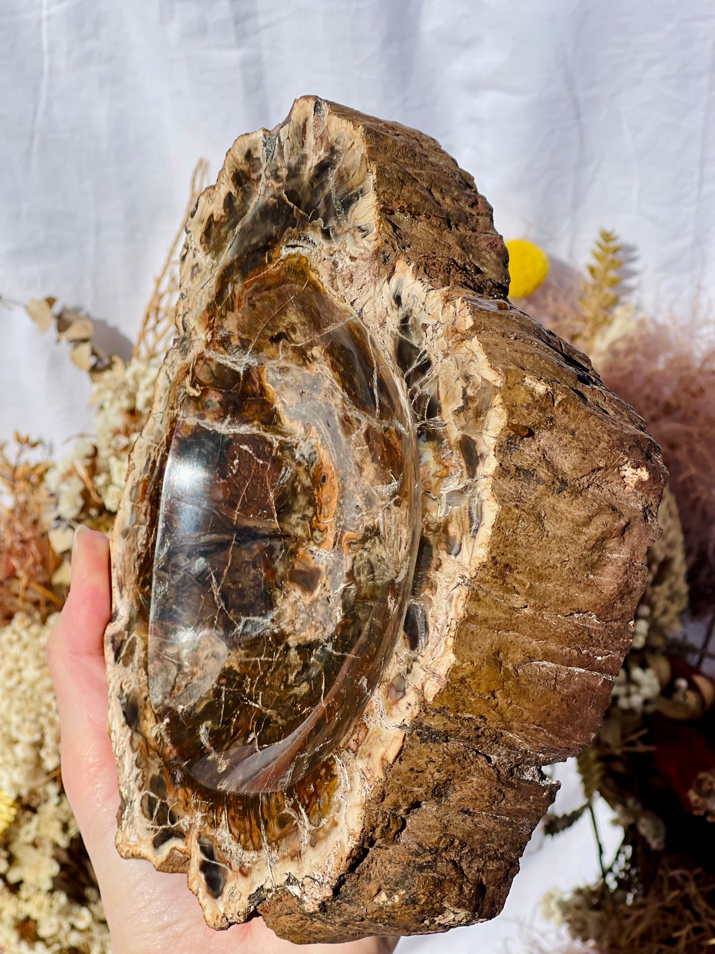 Petrified Wood Bowl