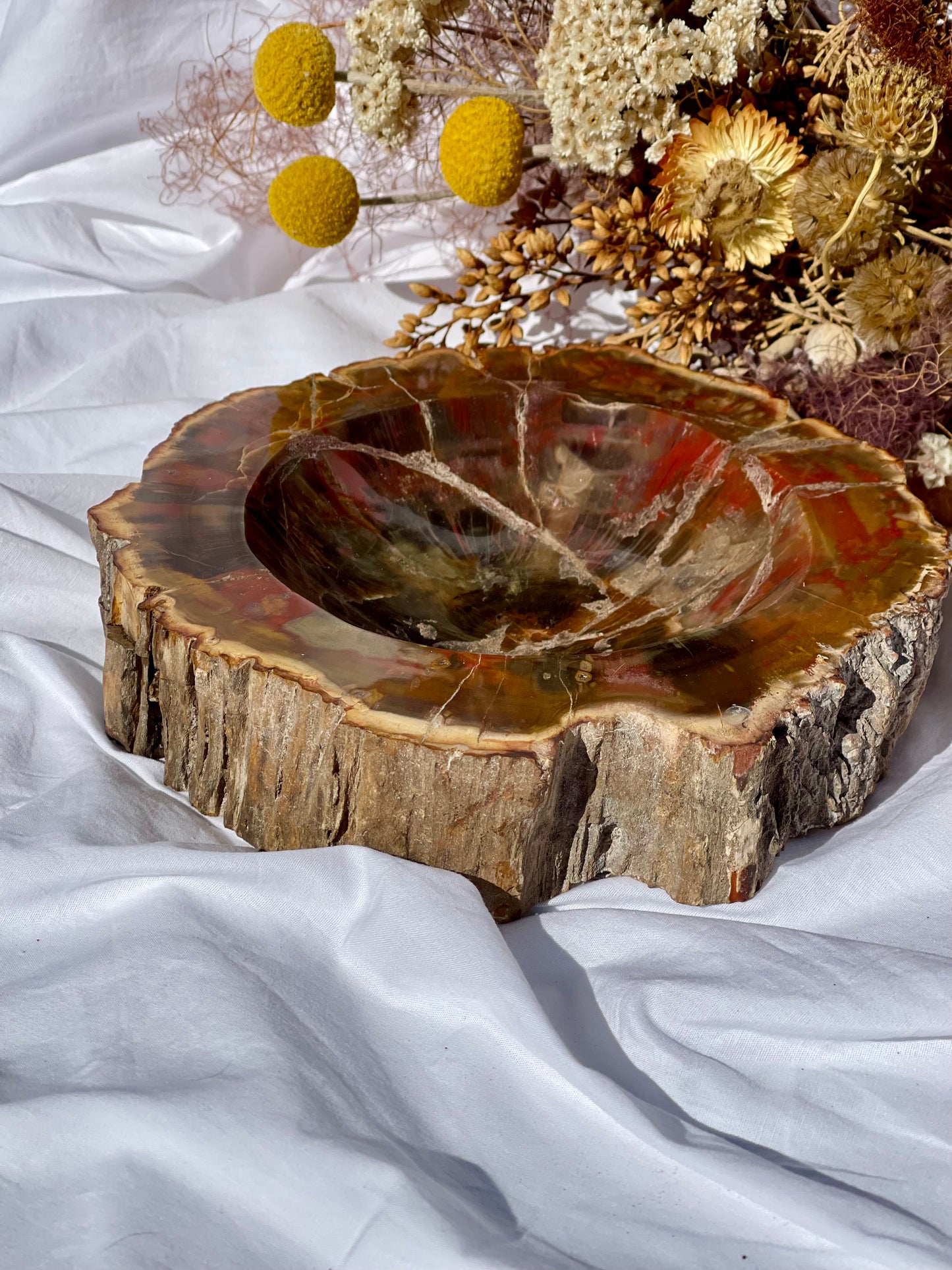 Petrified Wood Bowl