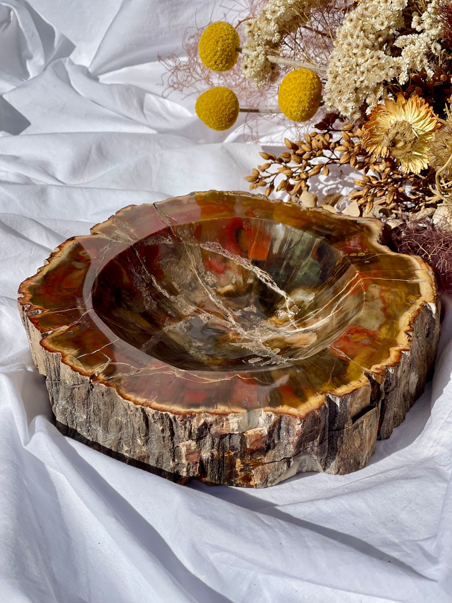 Petrified Wood Bowl