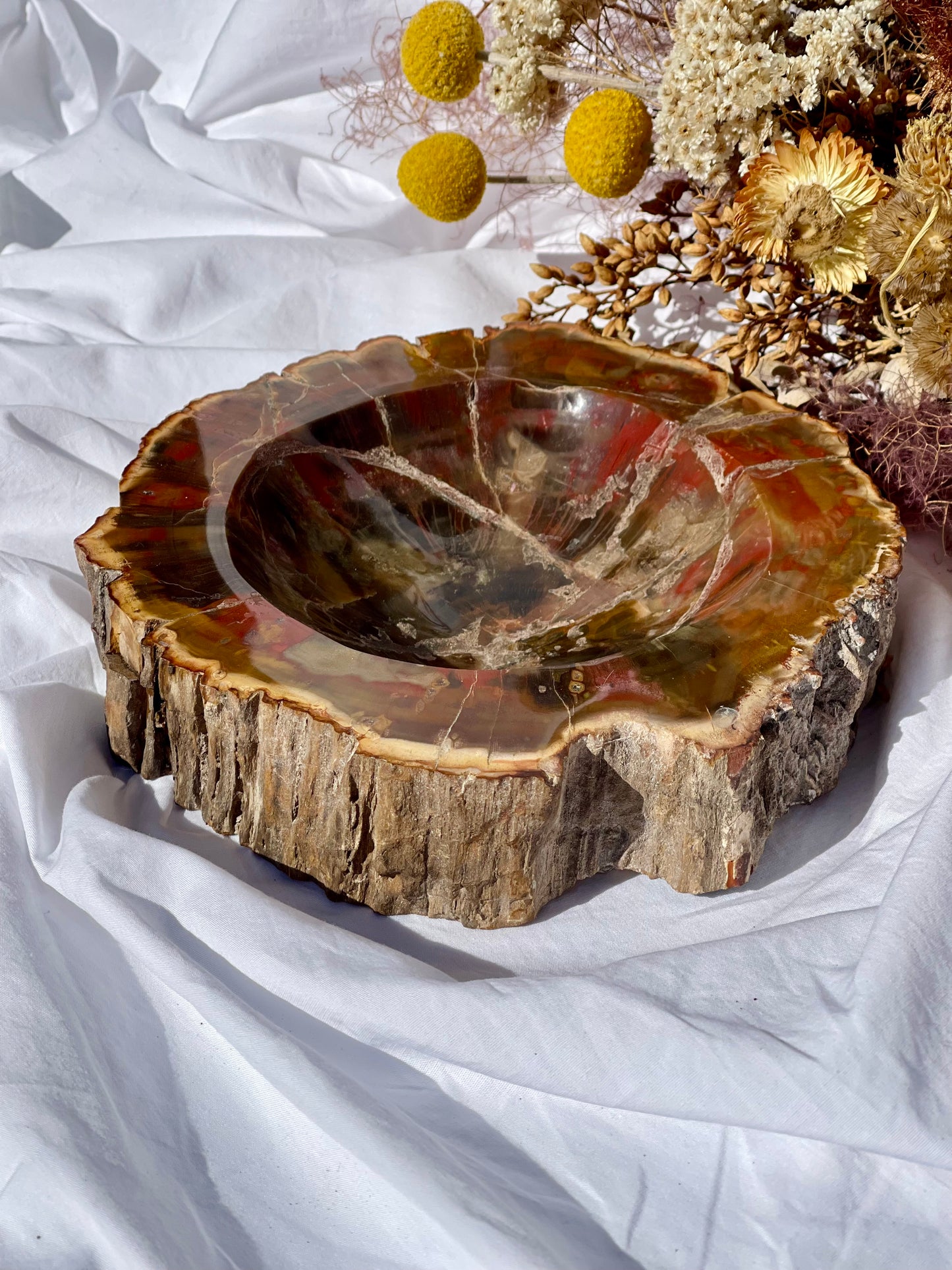 Petrified Wood Bowl