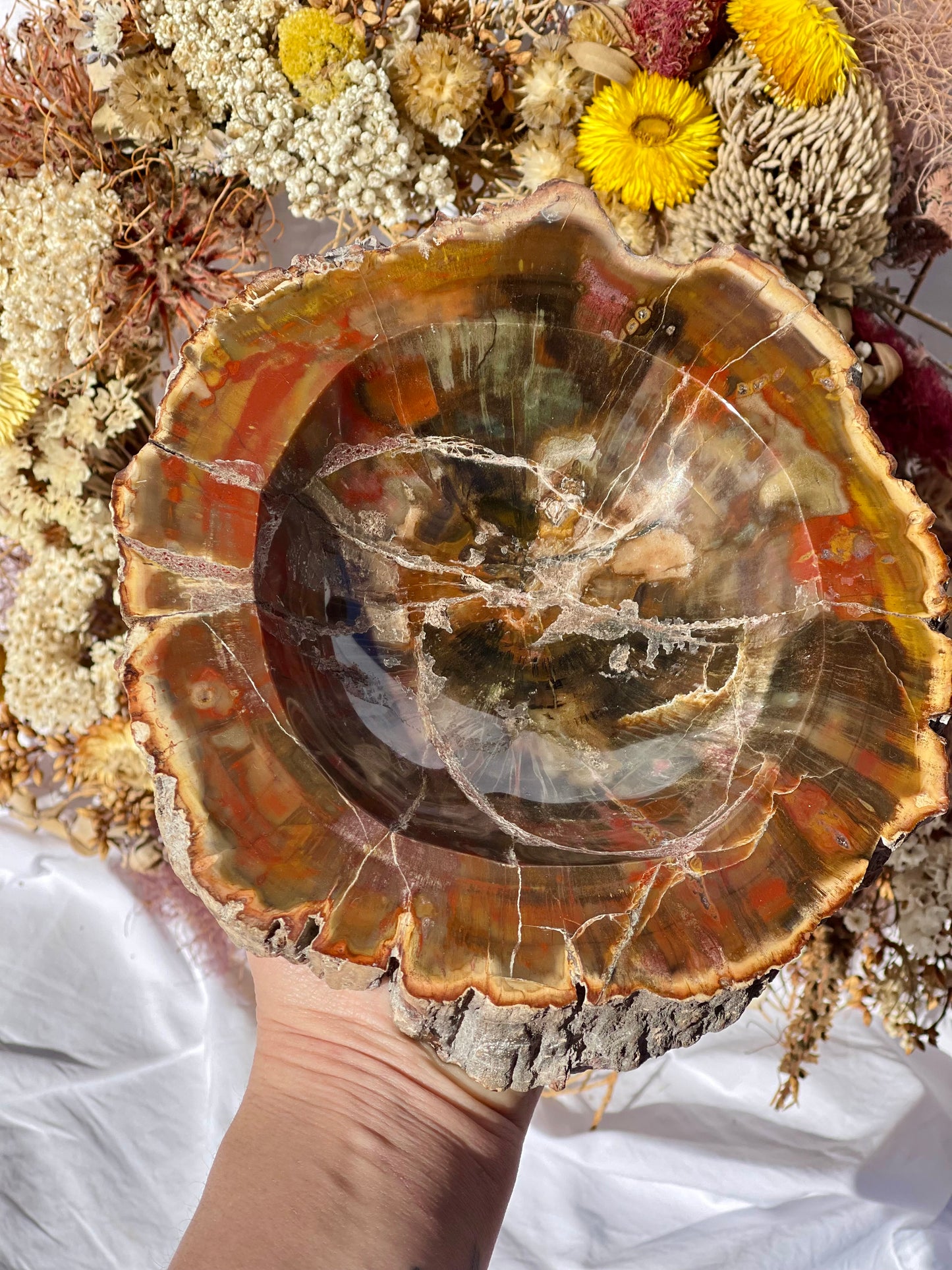 Petrified Wood Bowl