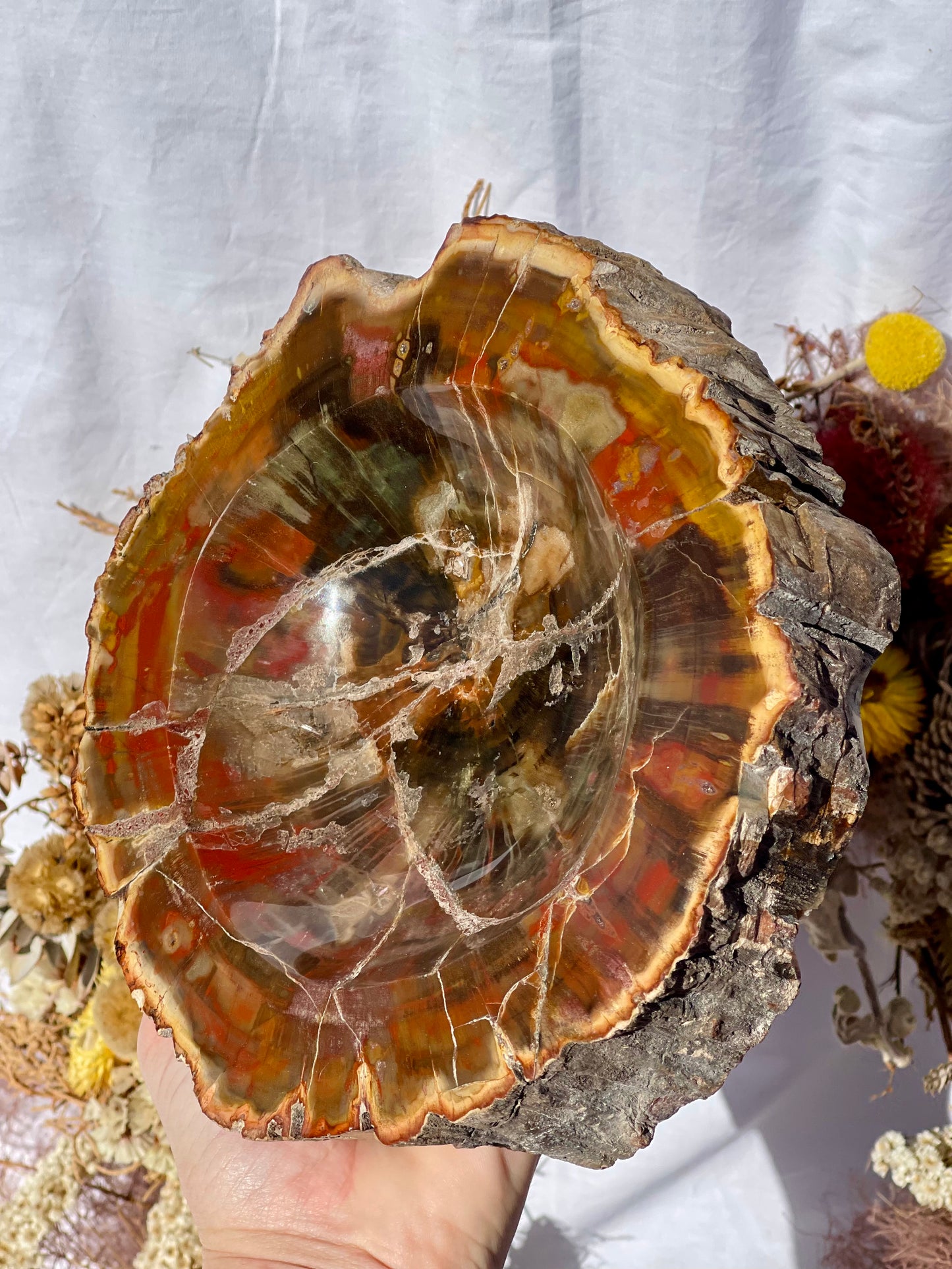 Petrified Wood Bowl