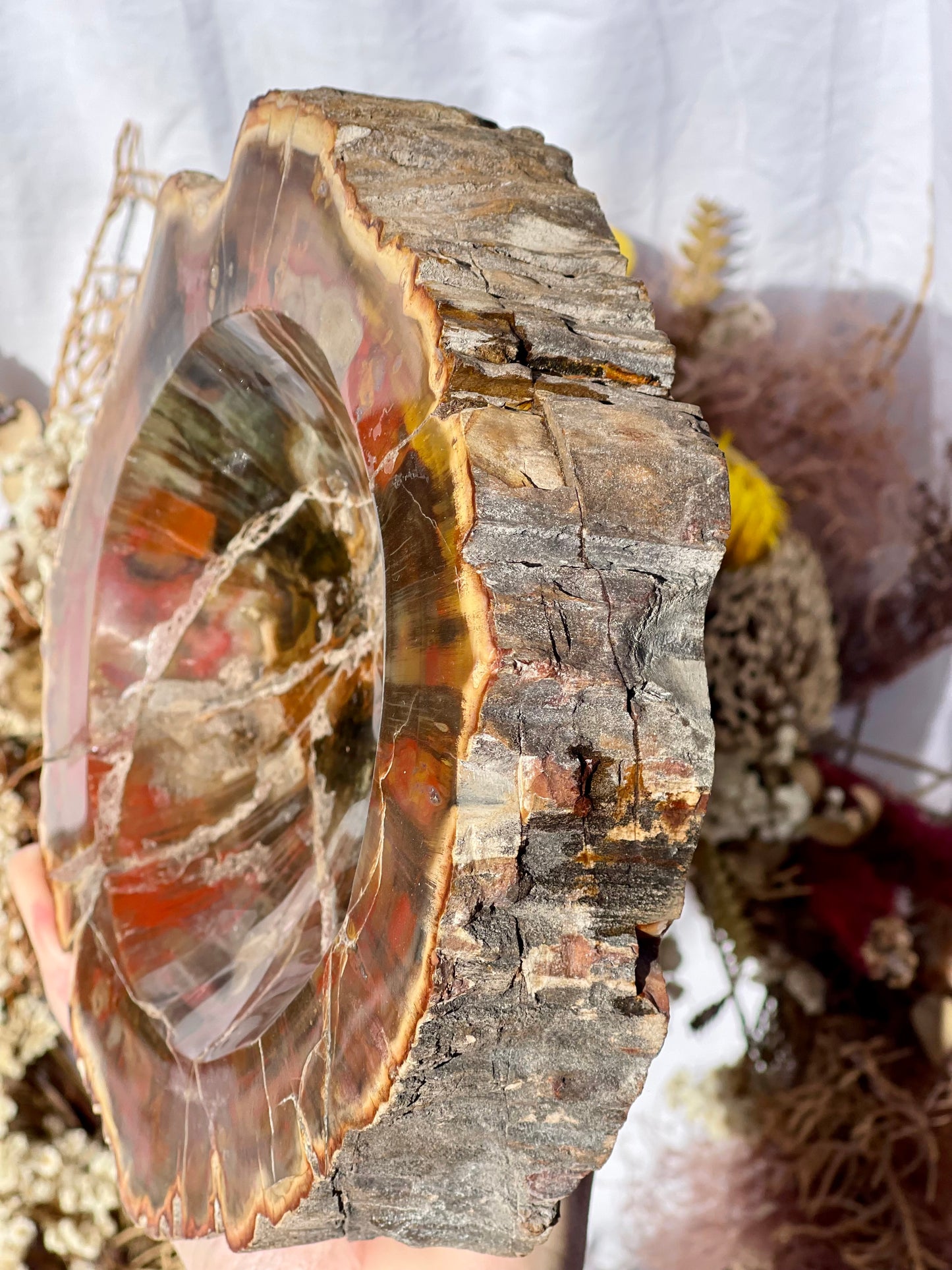 Petrified Wood Bowl