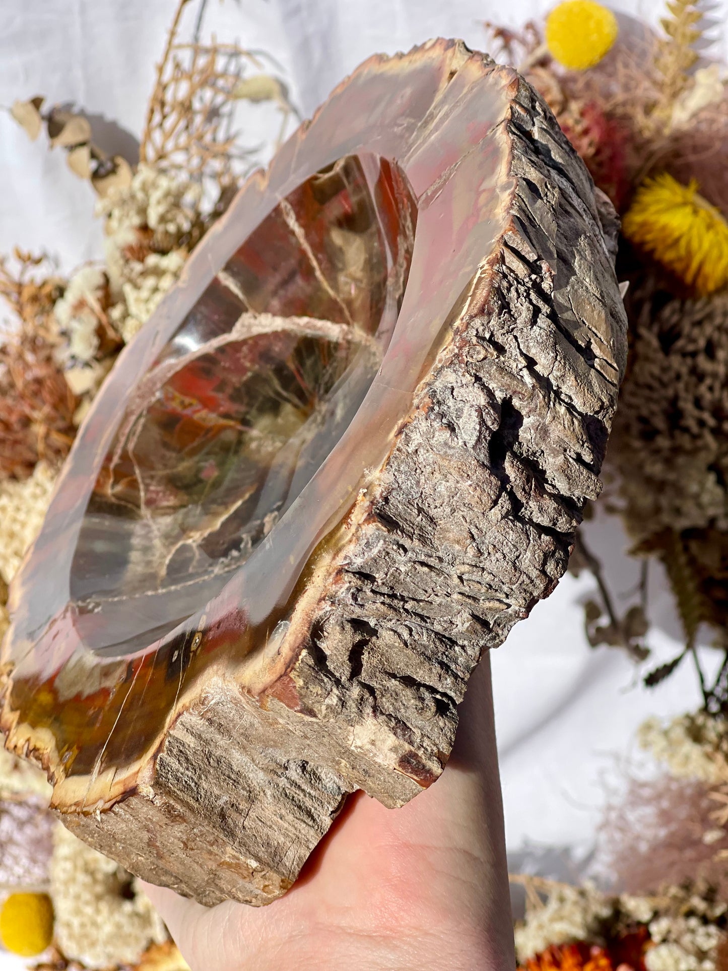 Petrified Wood Bowl