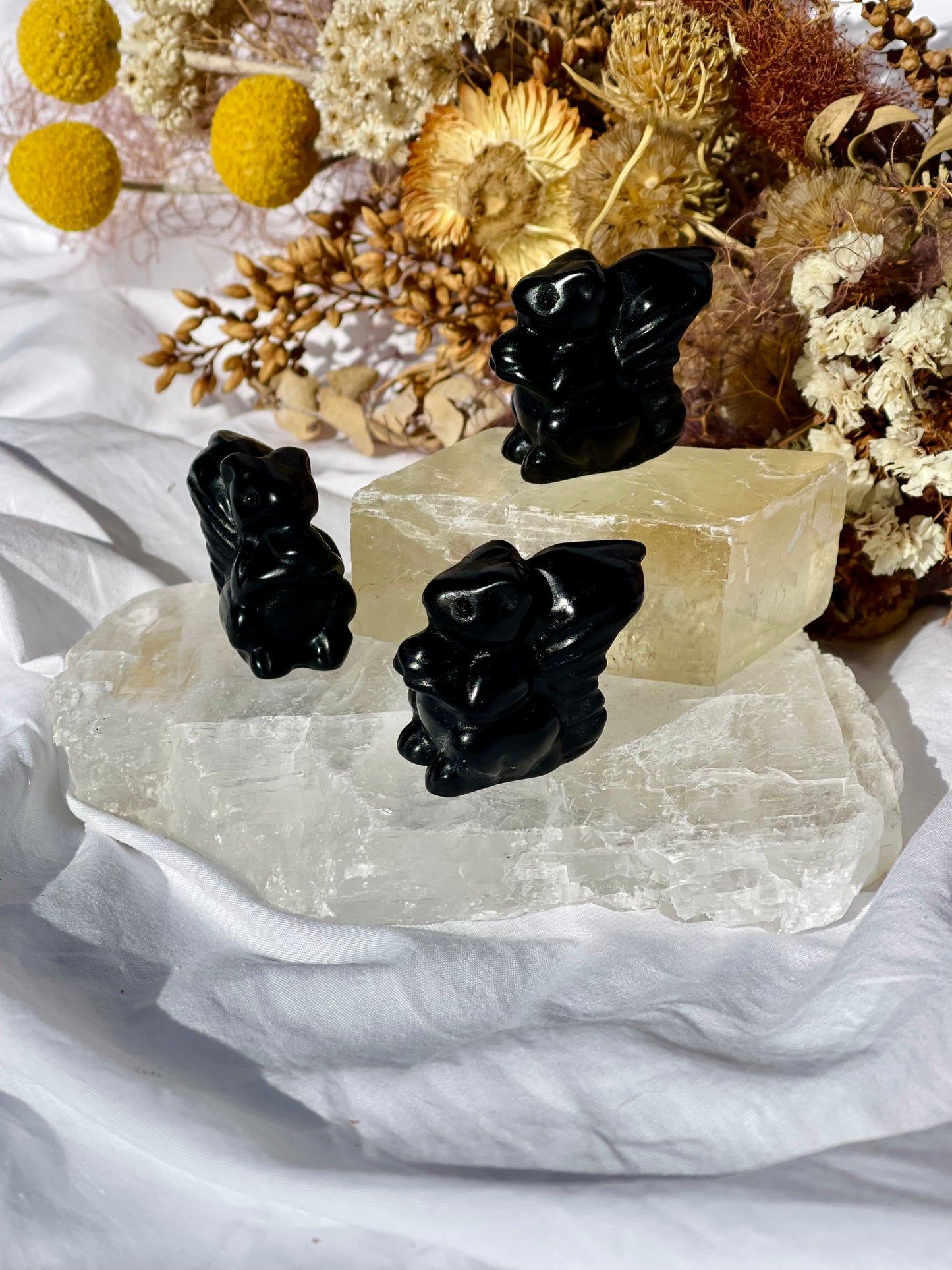 Black Obsidian Squirrel