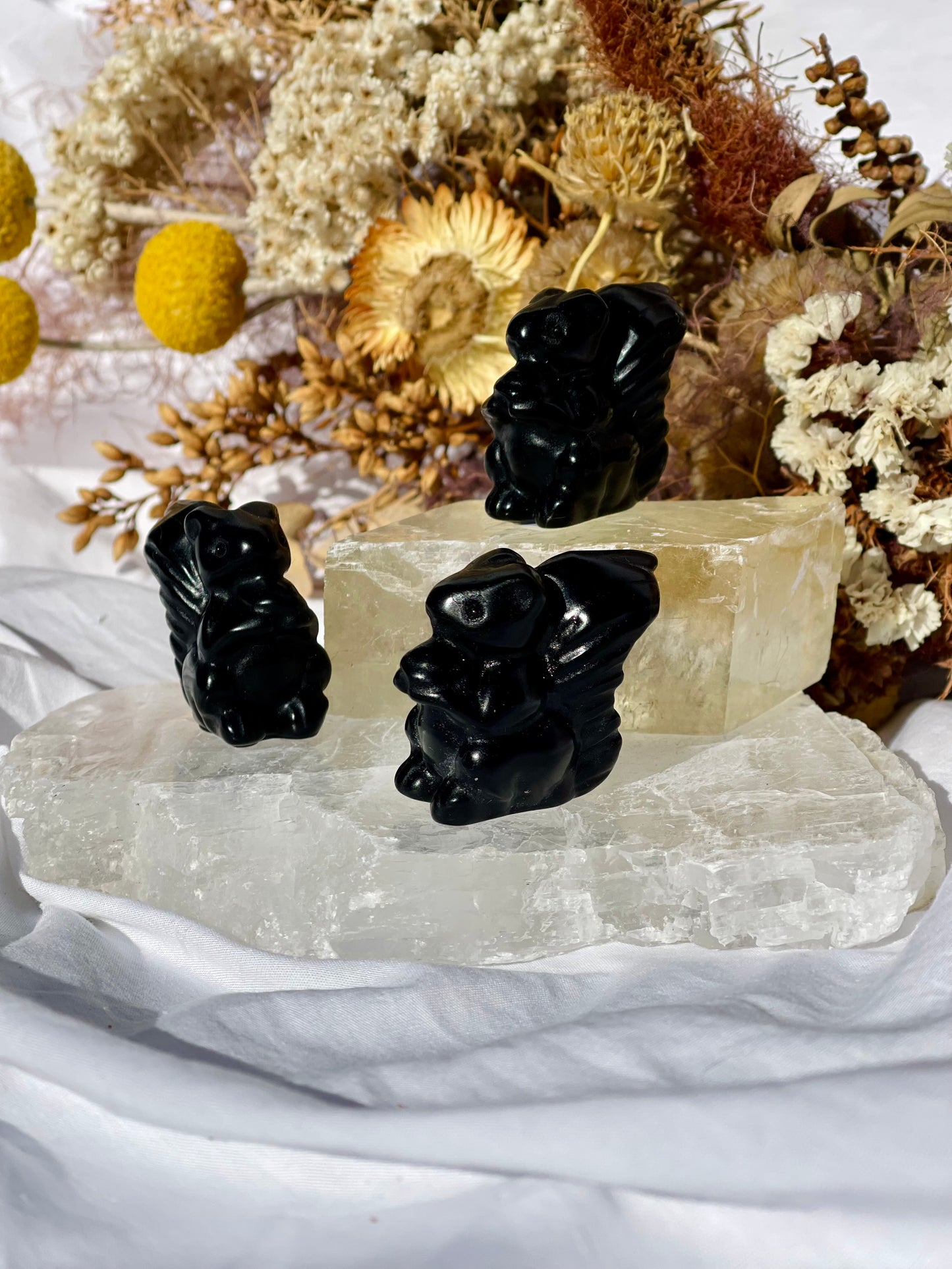 Black Obsidian Squirrel