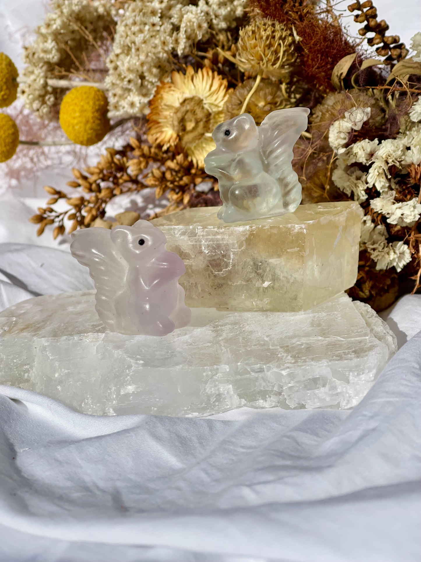 Fluorite Squirrel