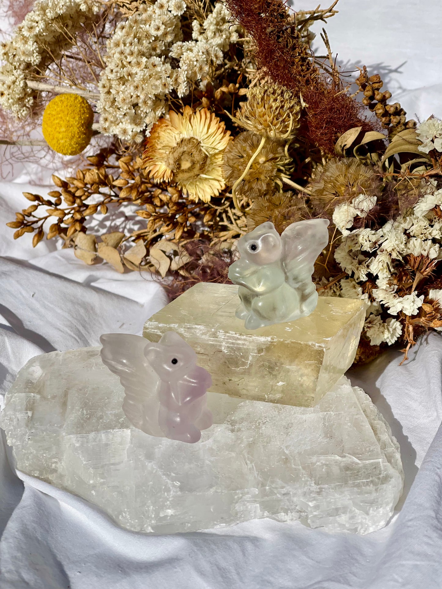 Fluorite Squirrel