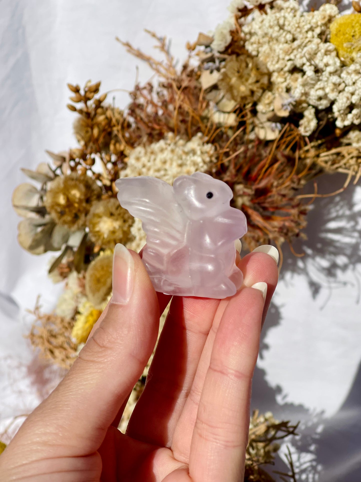 Fluorite Squirrel