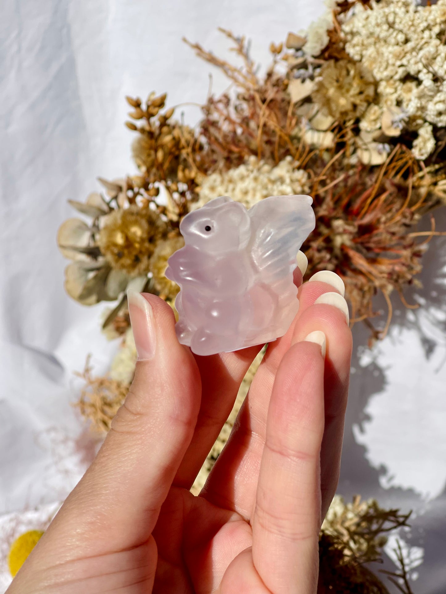 Fluorite Squirrel