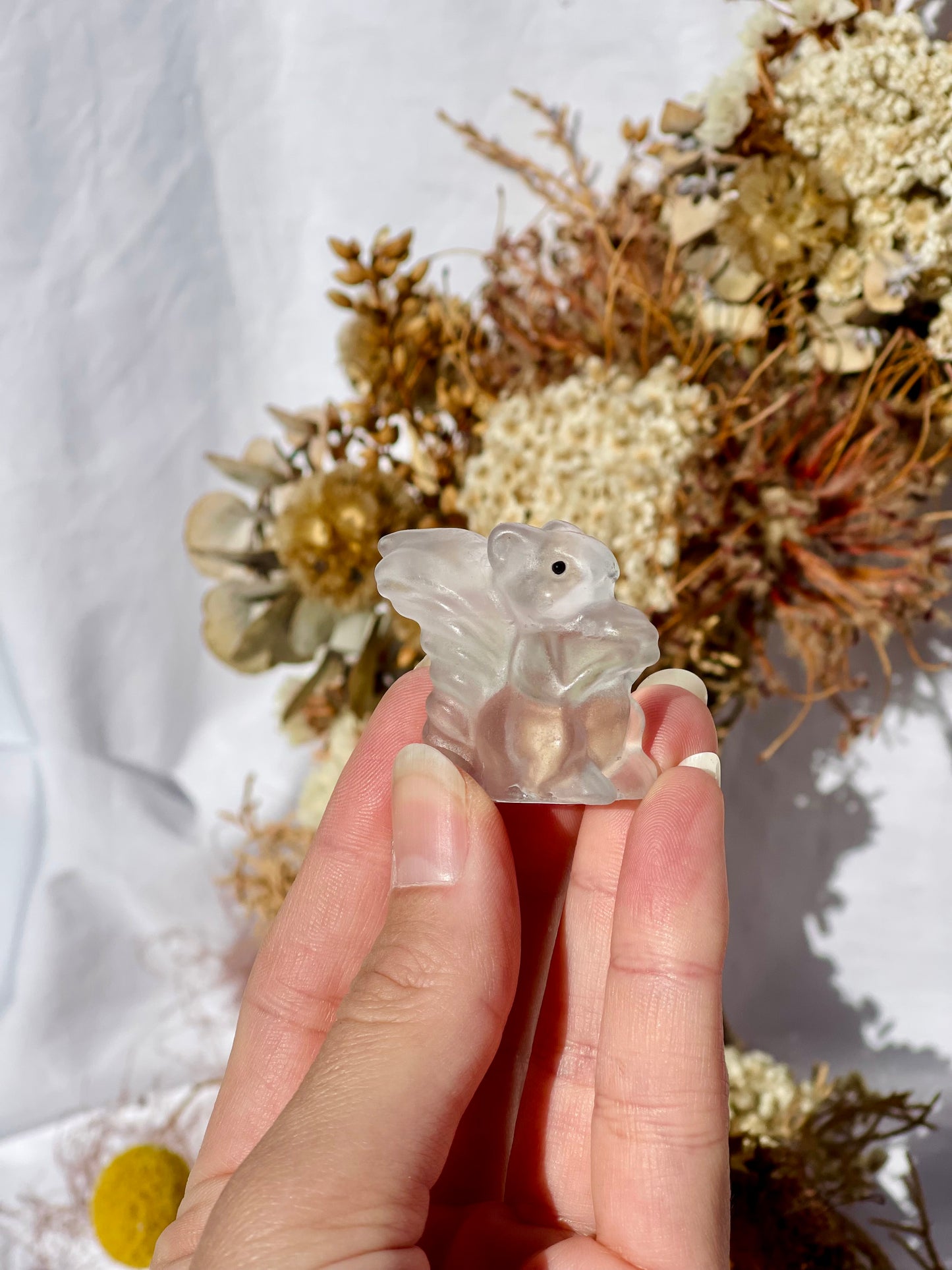 Fluorite Squirrel