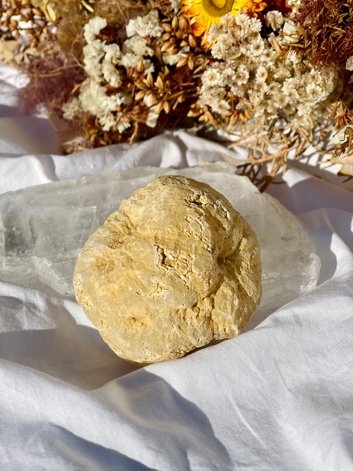 Quartz Druzy Geode F