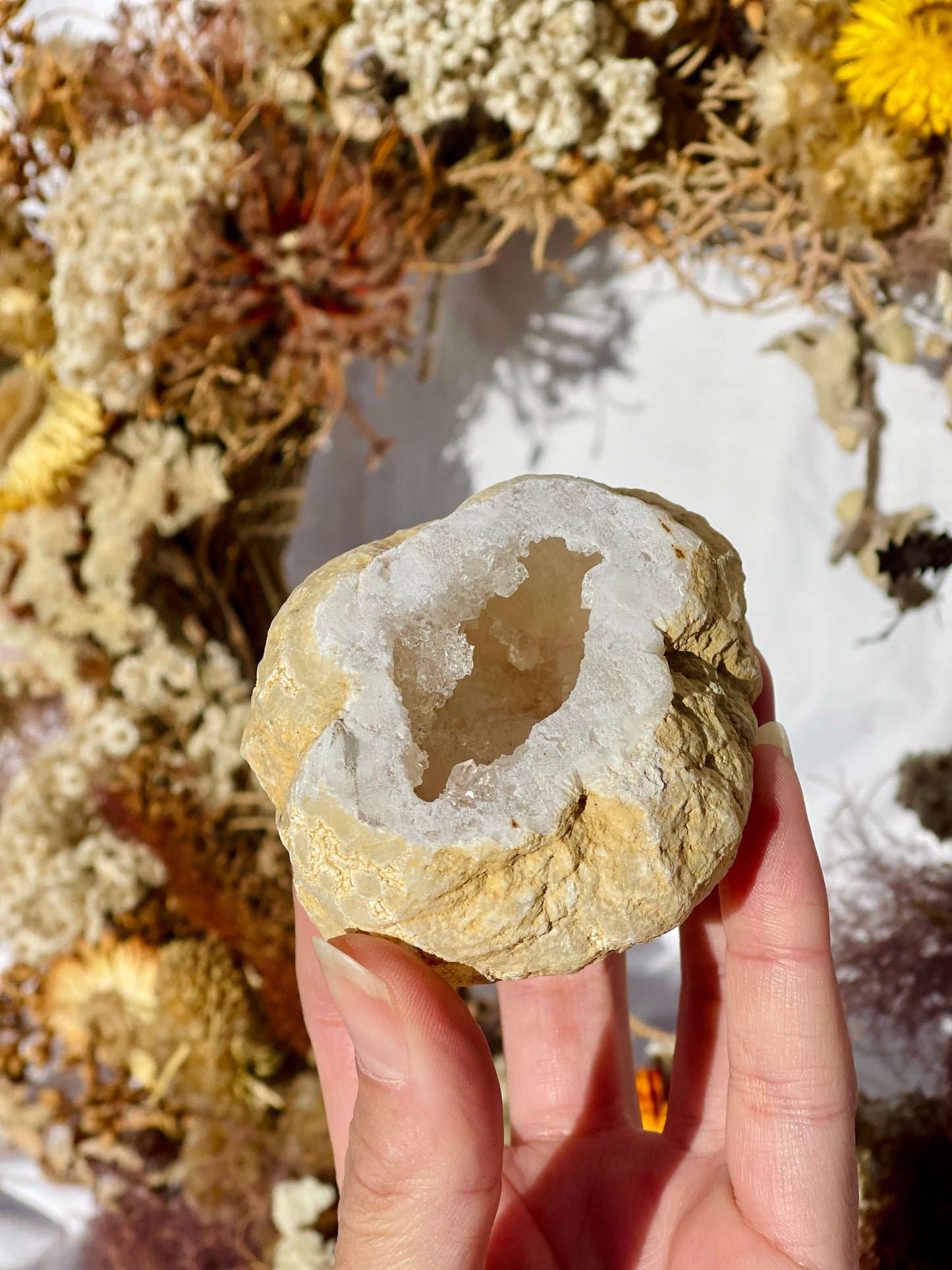 Quartz Druzy Geode F