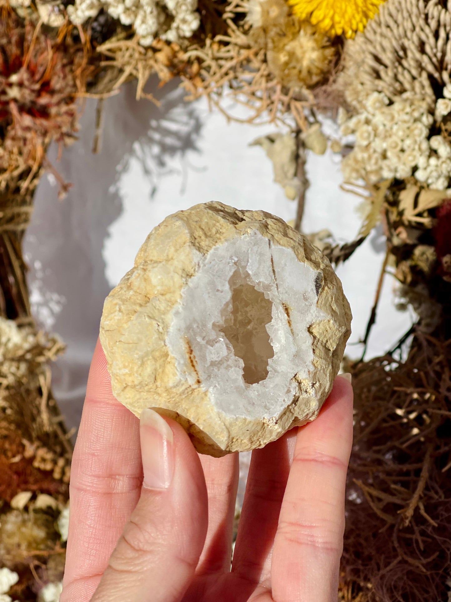 Quartz Druzy Geode E