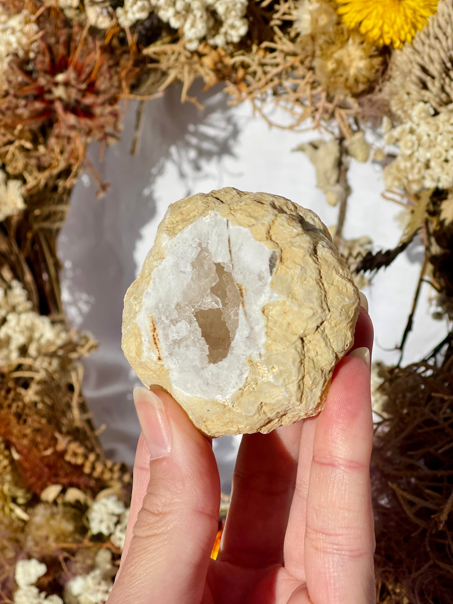 Quartz Druzy Geode E