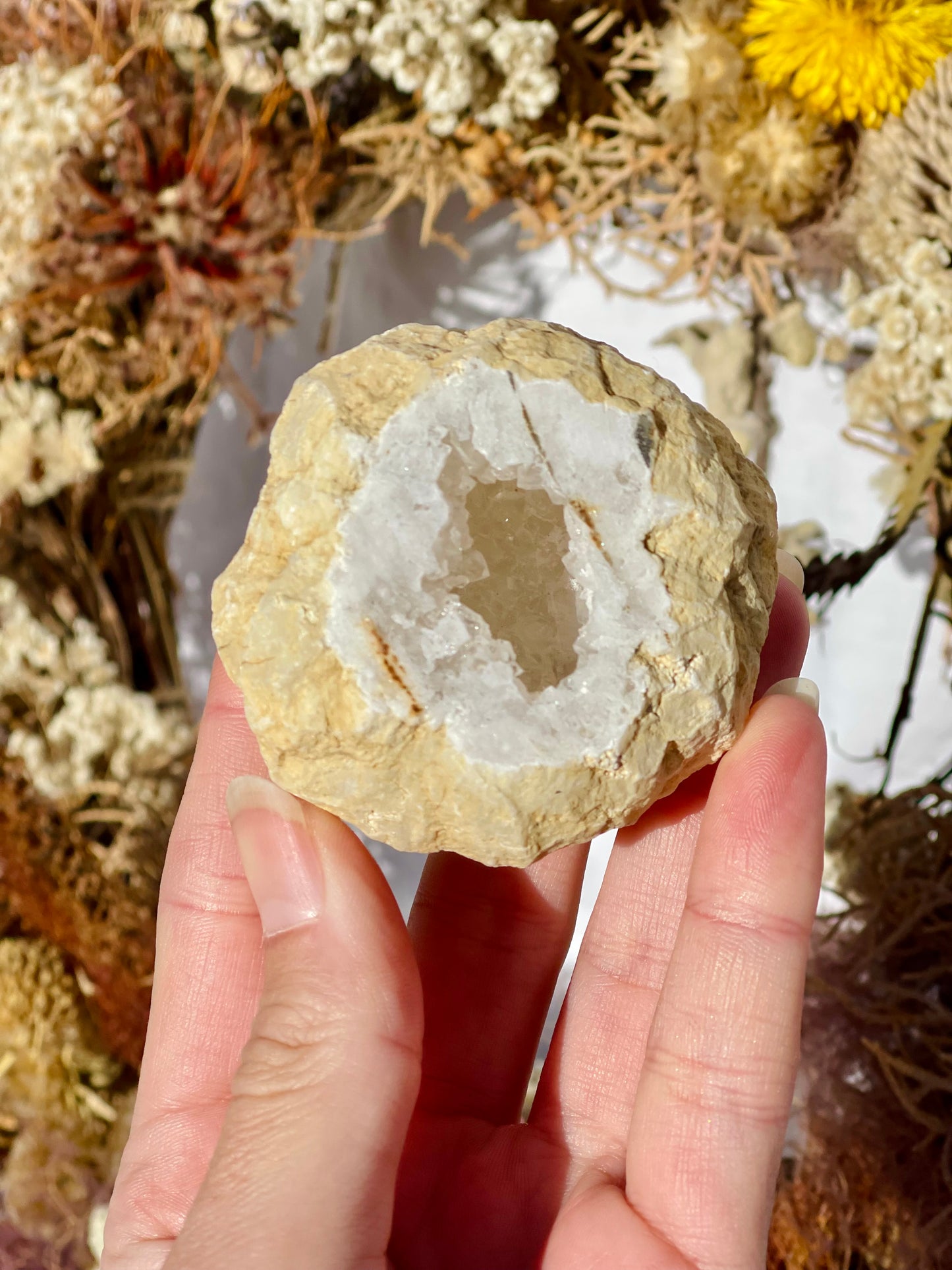 Quartz Druzy Geode E
