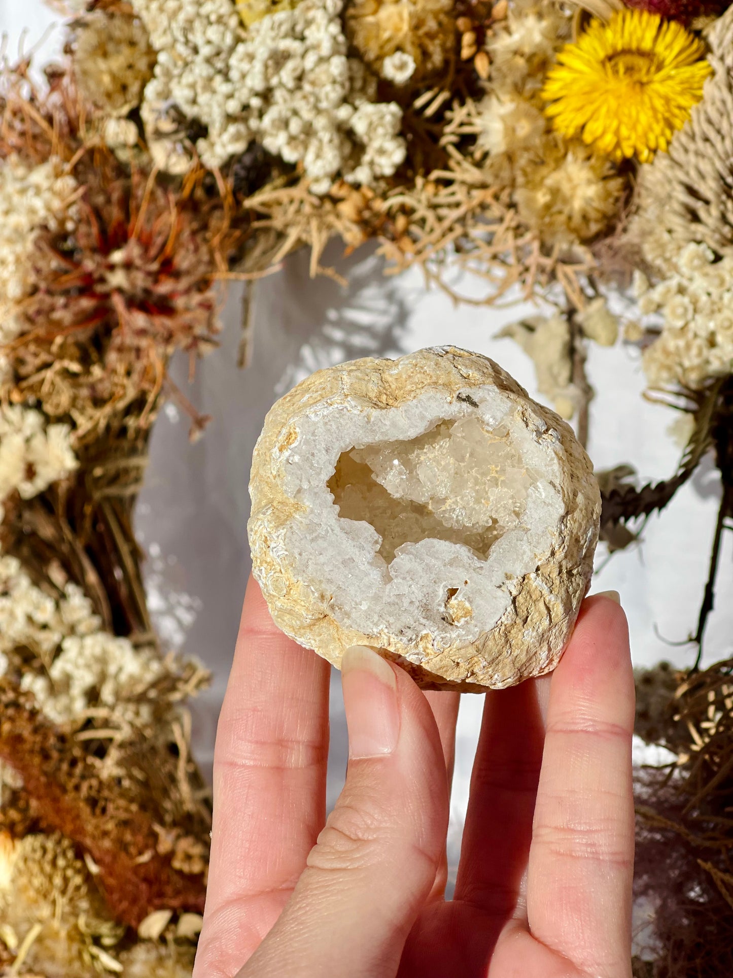 Quartz Druzy Geode B