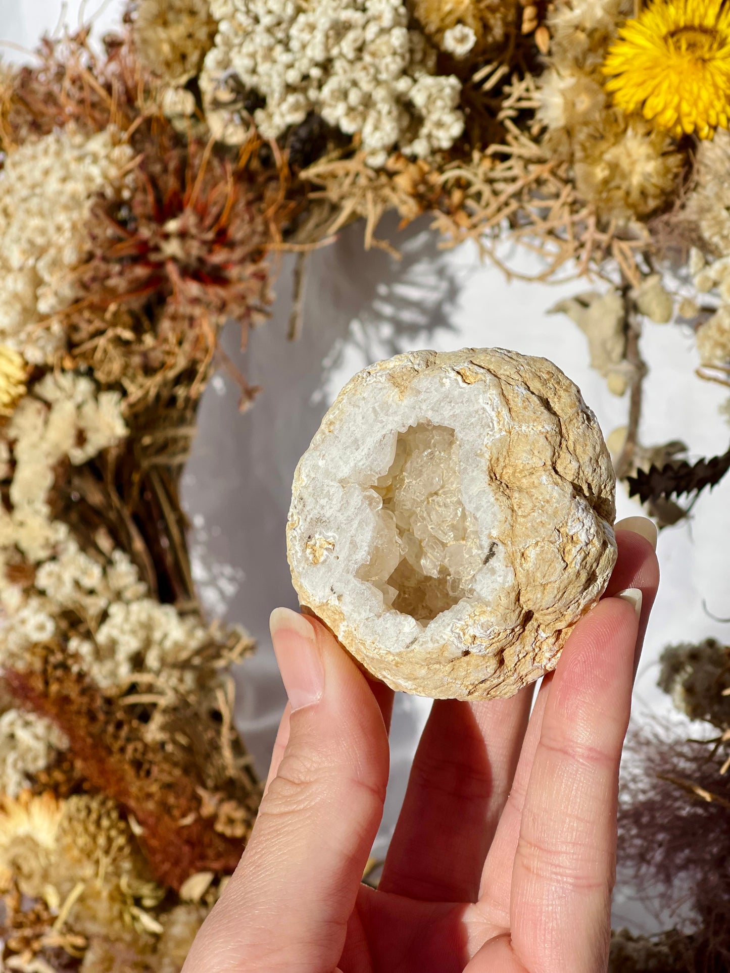 Quartz Druzy Geode B