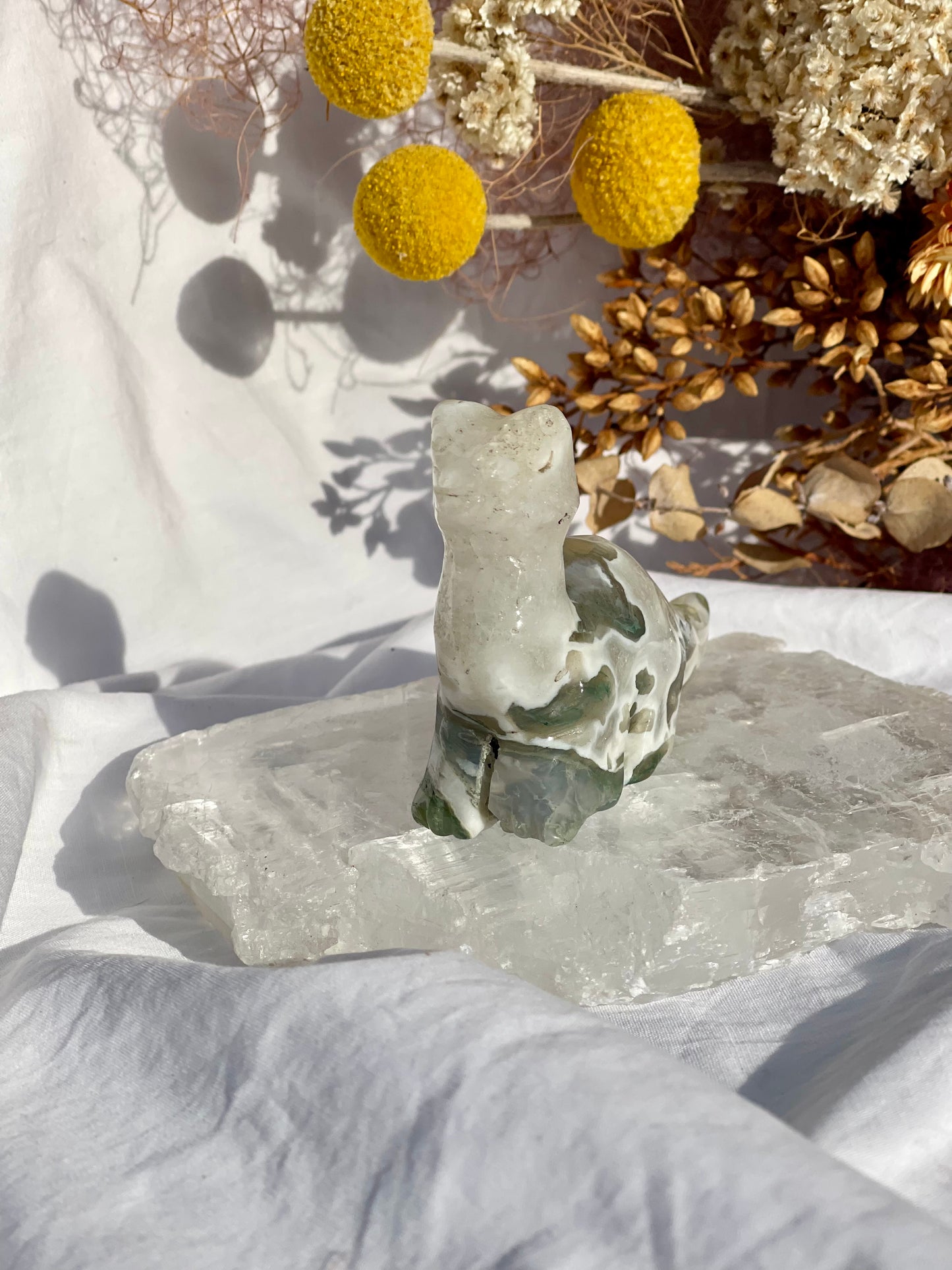 Moss Agate Dino