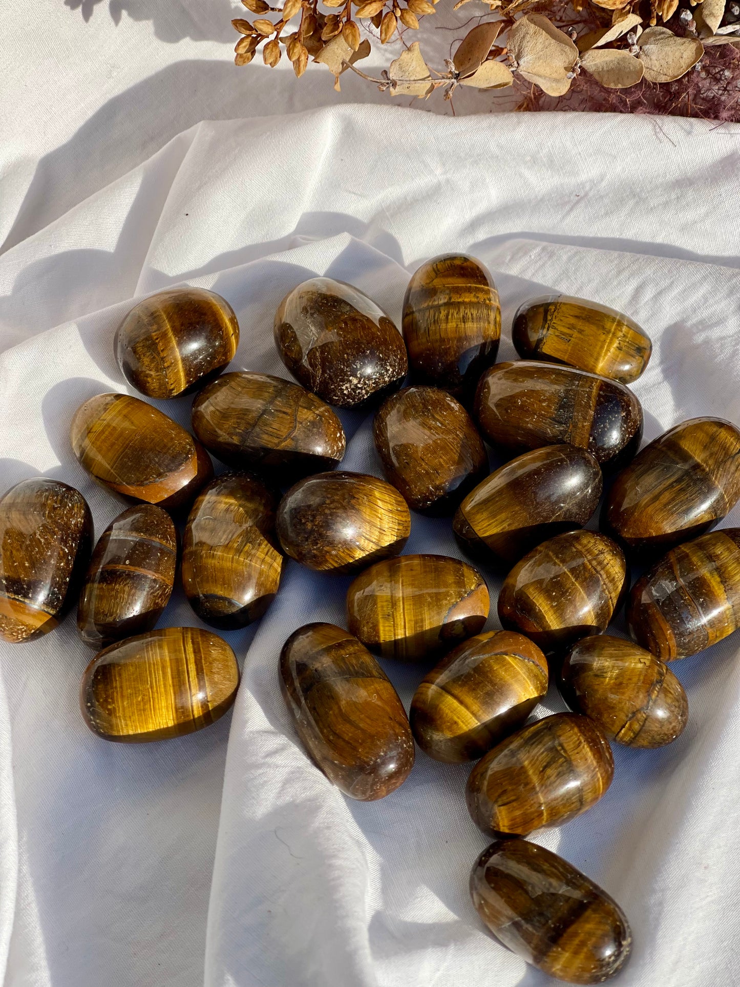 Tiger Eye Tumble