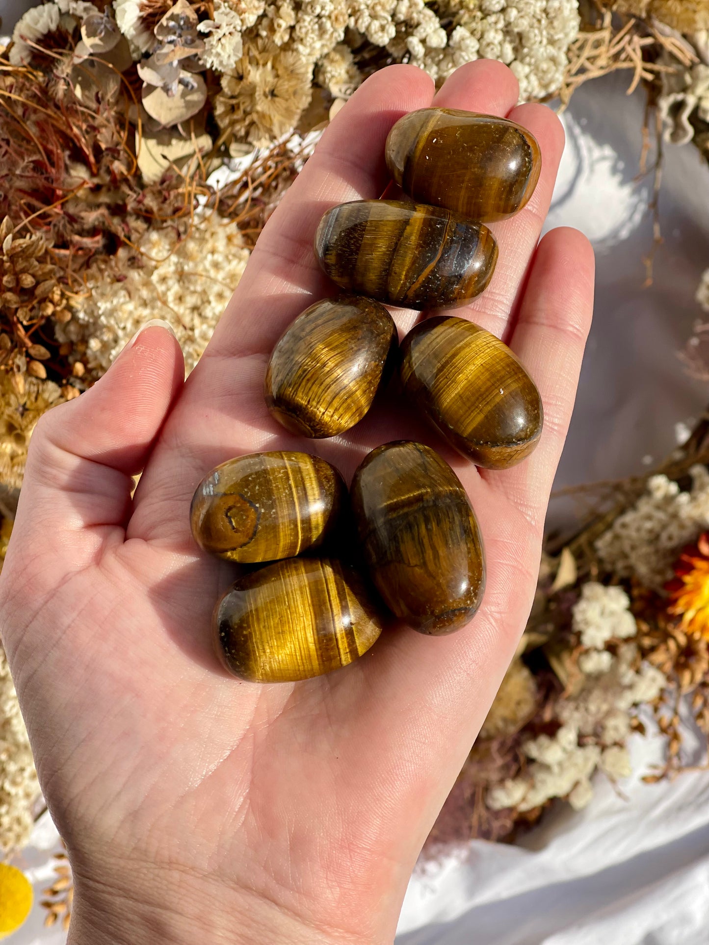 Tiger Eye Tumble