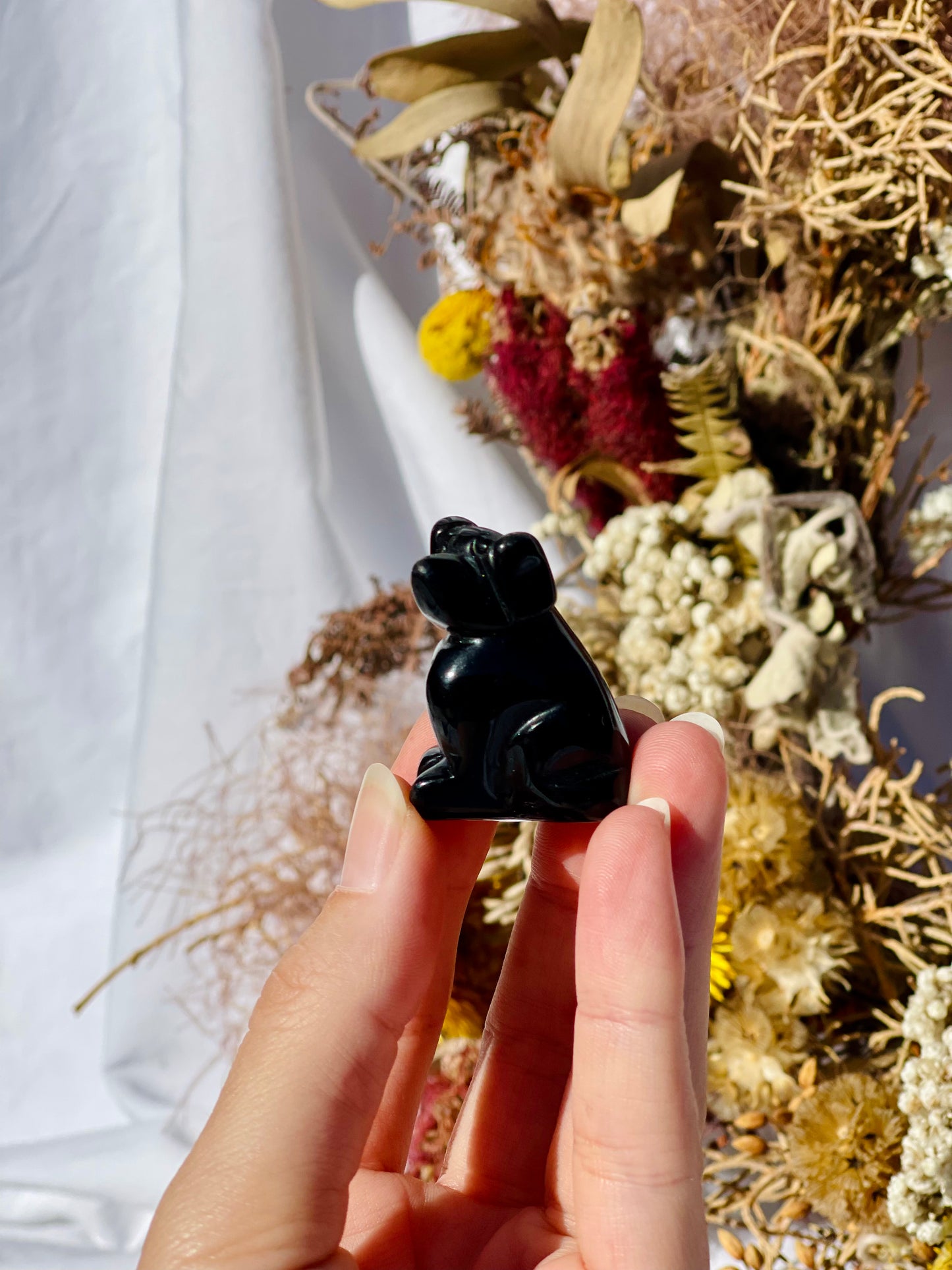 Black Obsidian Dog