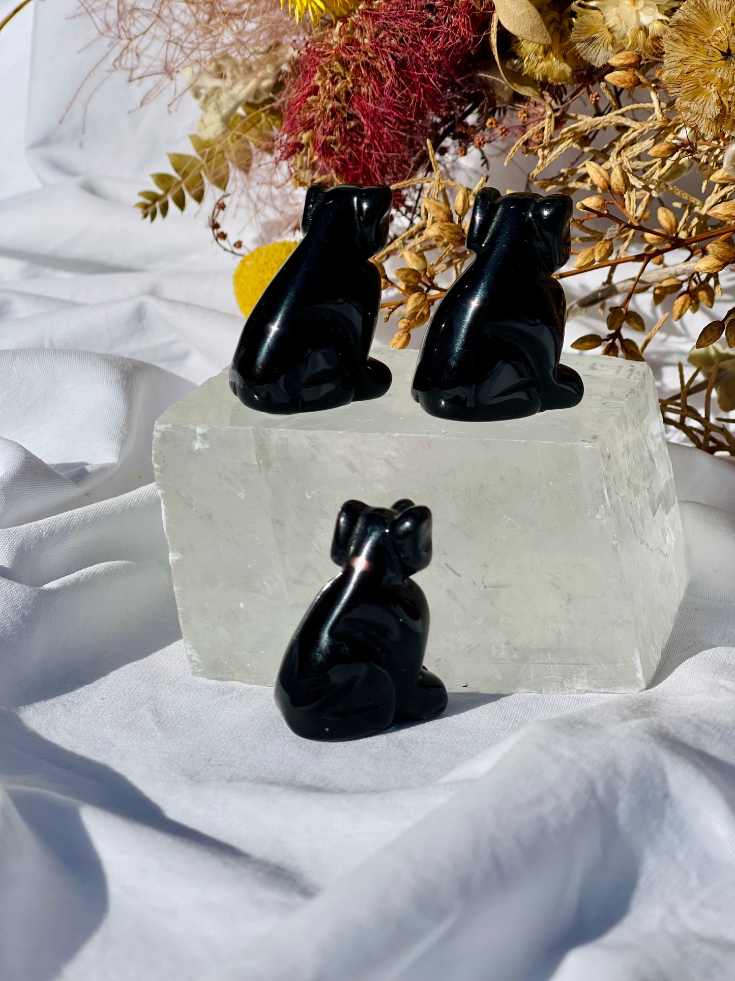 Black Obsidian Dog