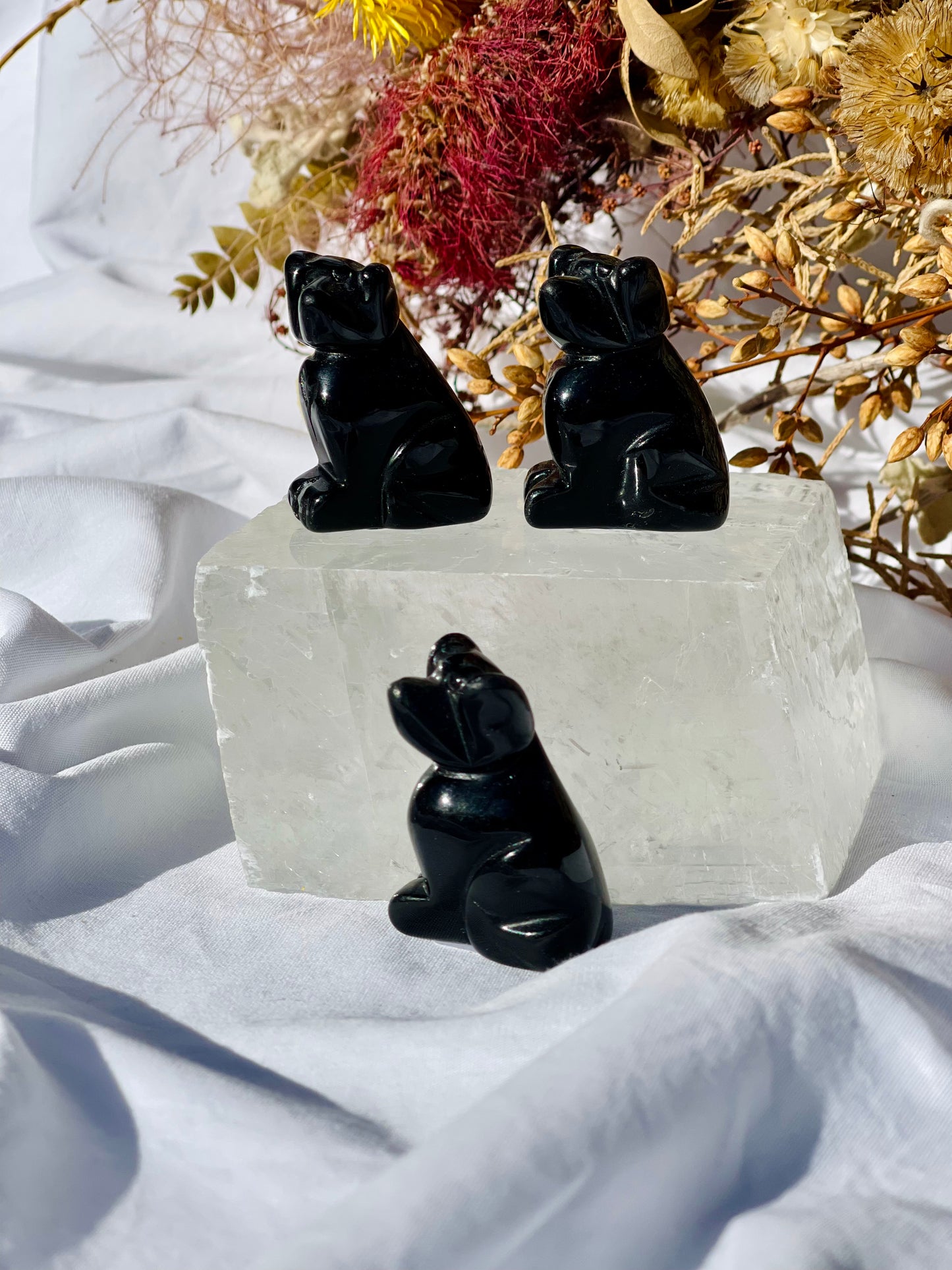 Black Obsidian Dog