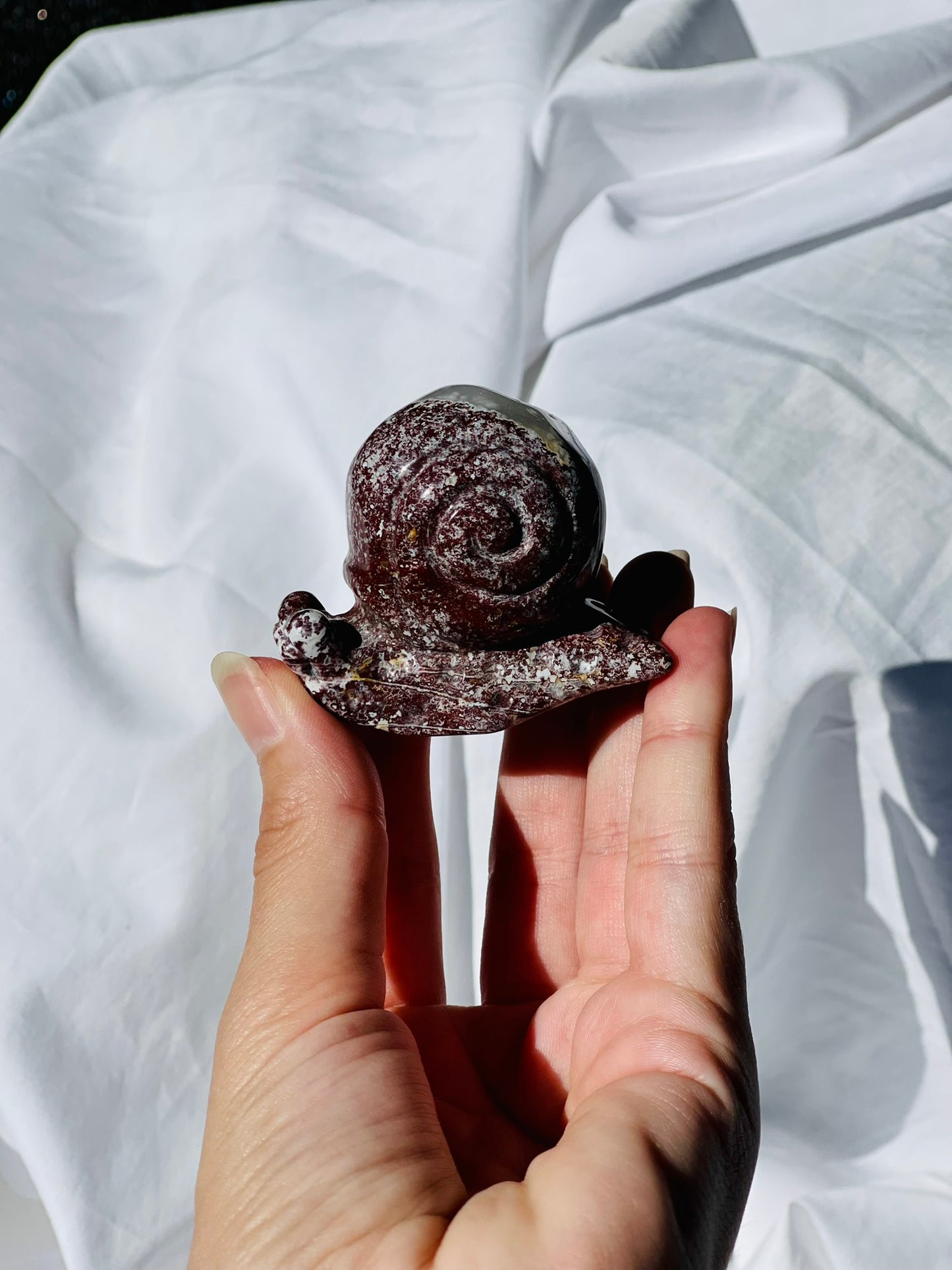 Ocean Jasper Snail