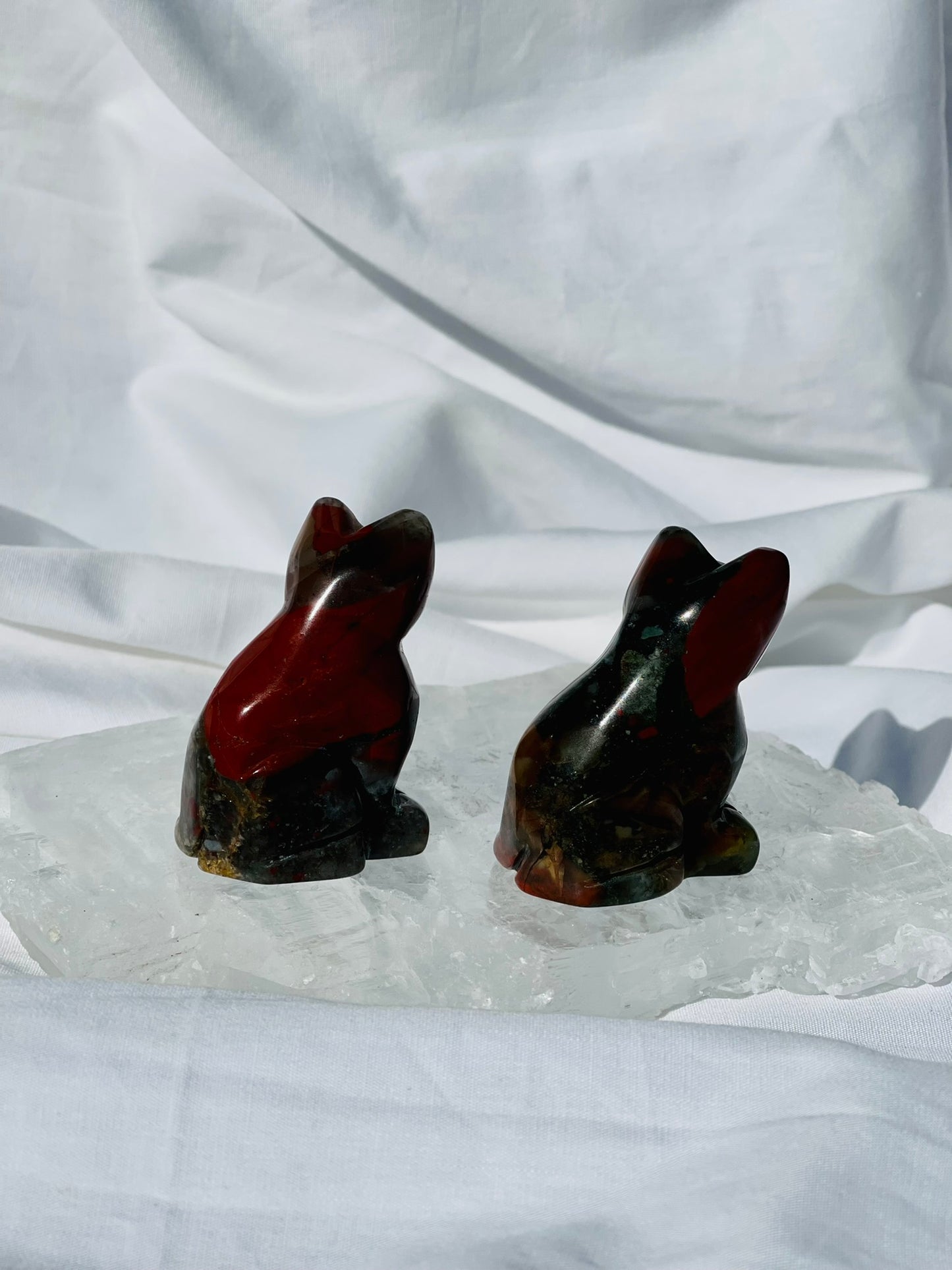 African Bloodstone Cat
