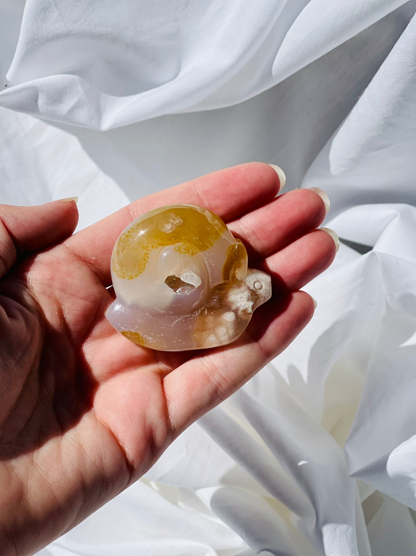 Druzy Flower Agate Snail