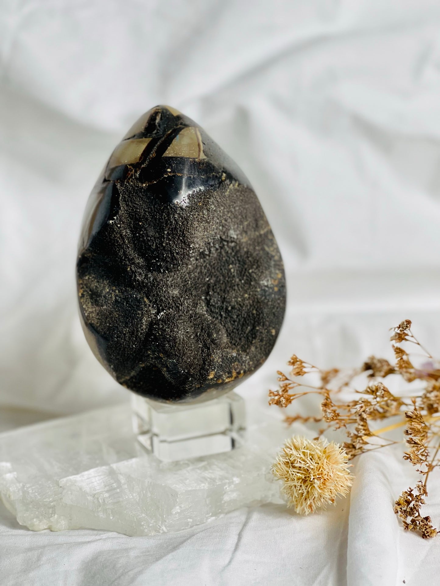 Black Septarian Egg