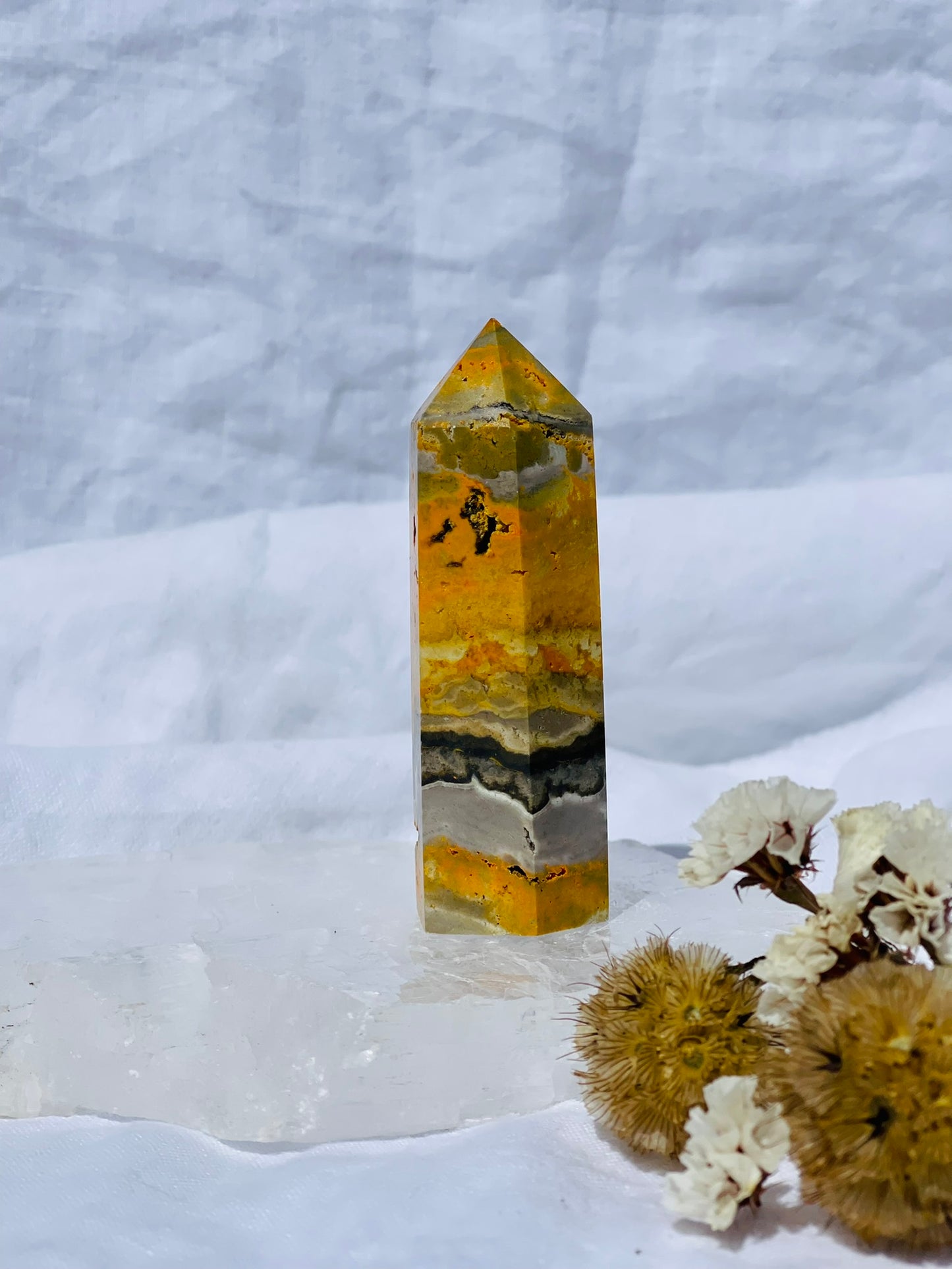 Bumble Bee Jasper Point