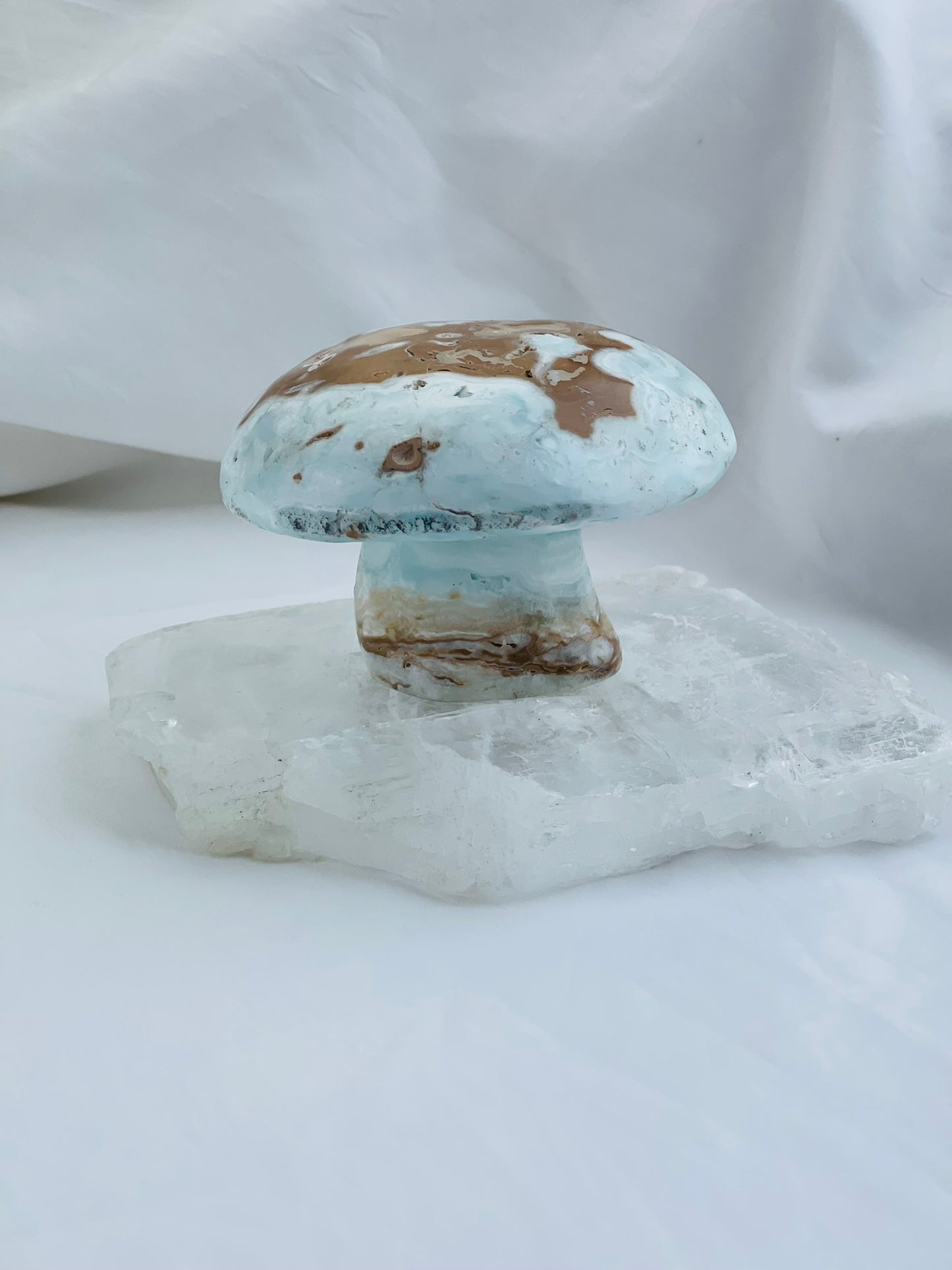 Caribbean Calcite Mushroom