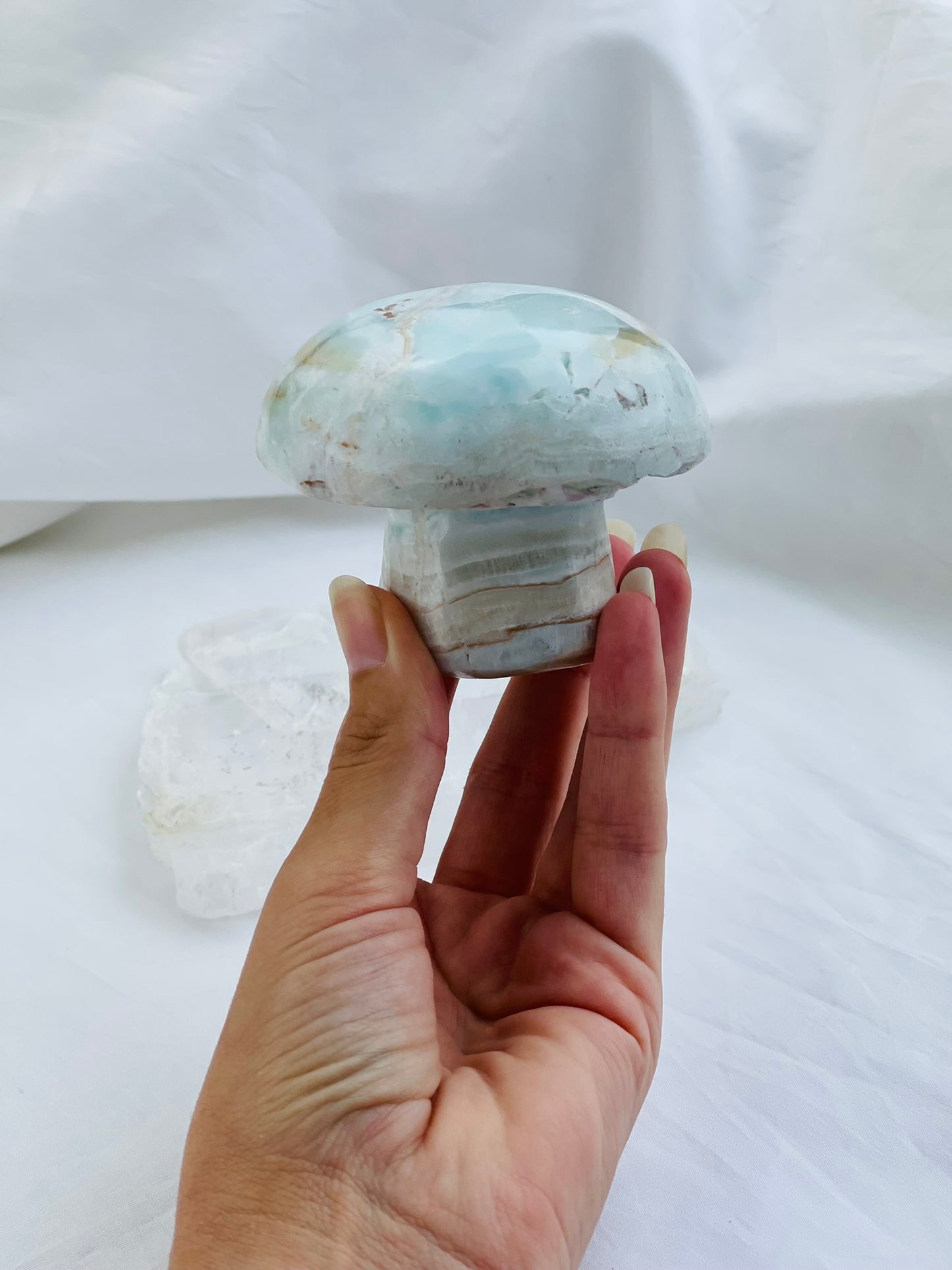 Caribbean Calcite Mushroom