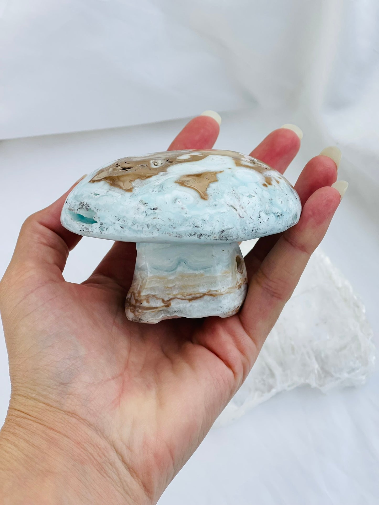 Caribbean Calcite Mushroom