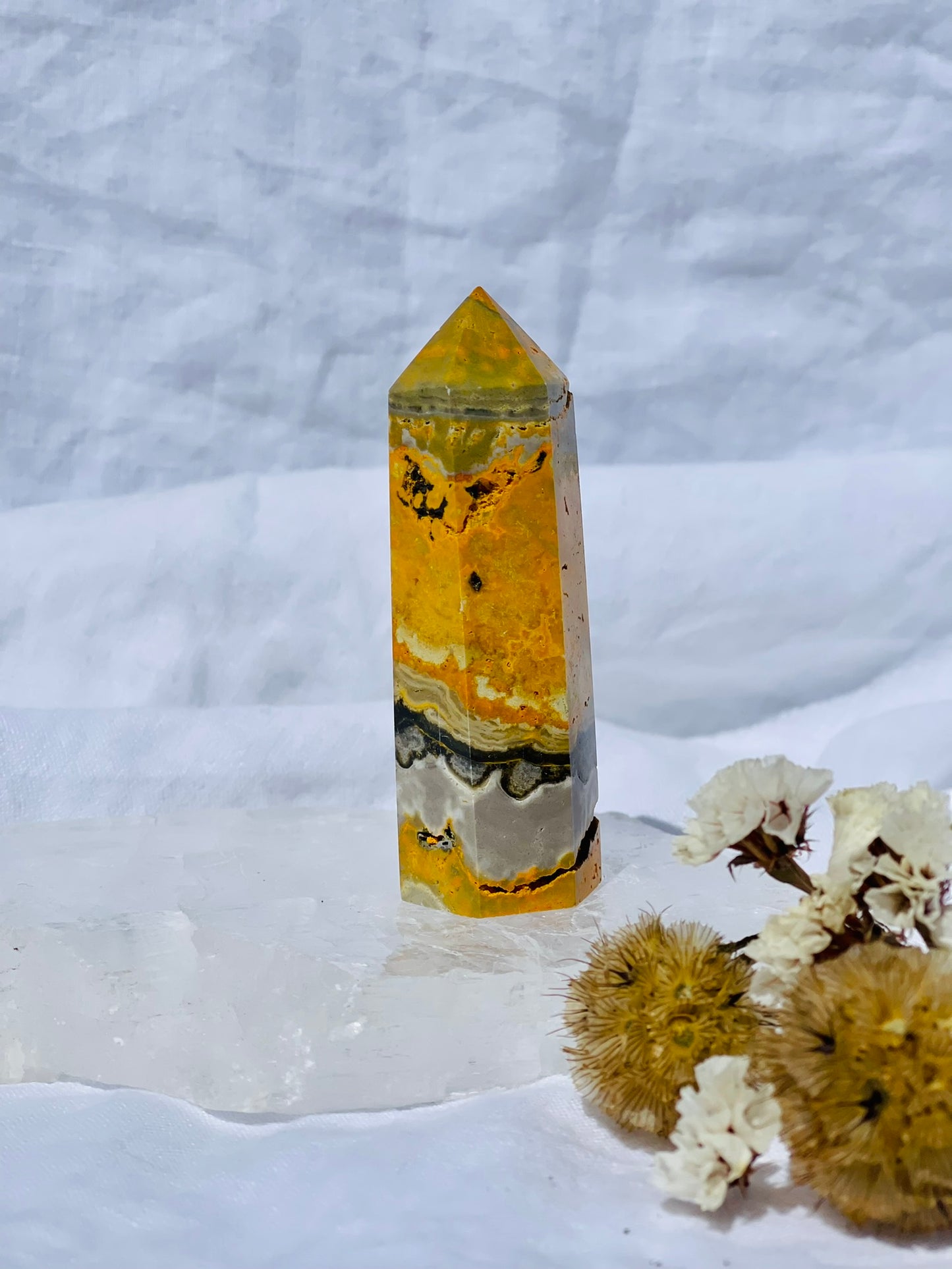 Bumble Bee Jasper Point