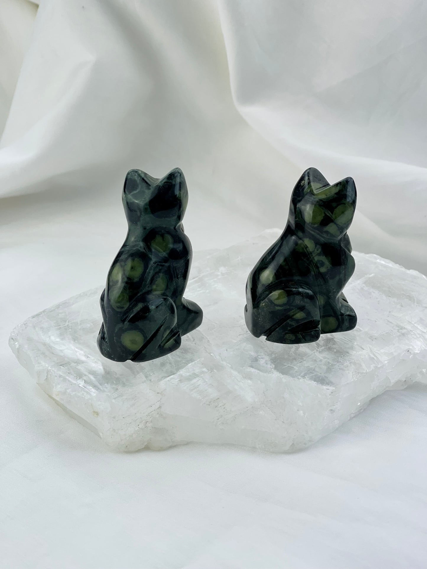 Kambaba Jasper Cat