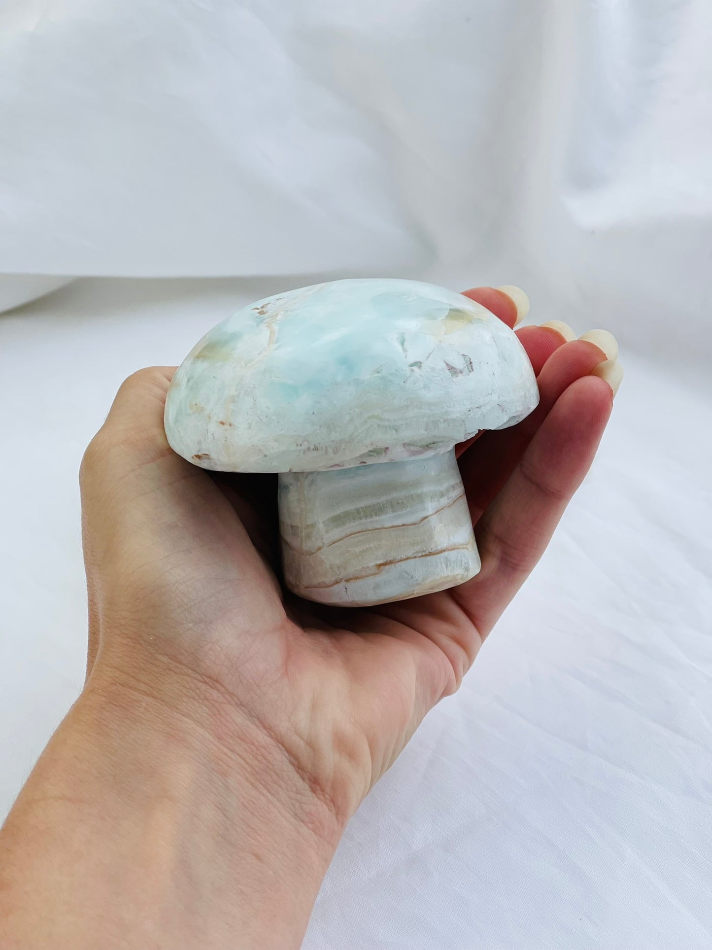 Caribbean Calcite Mushroom