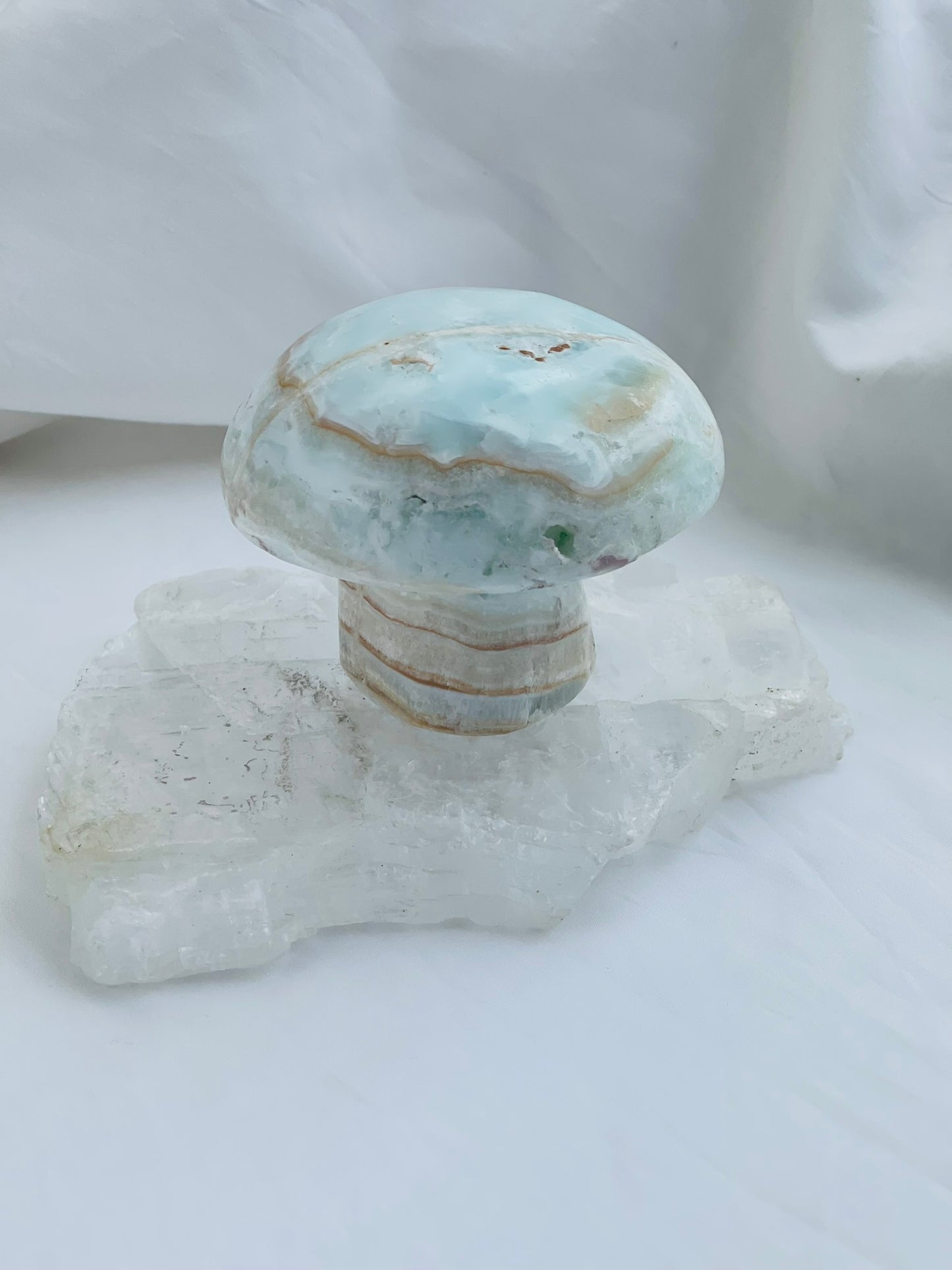 Caribbean Calcite Mushroom