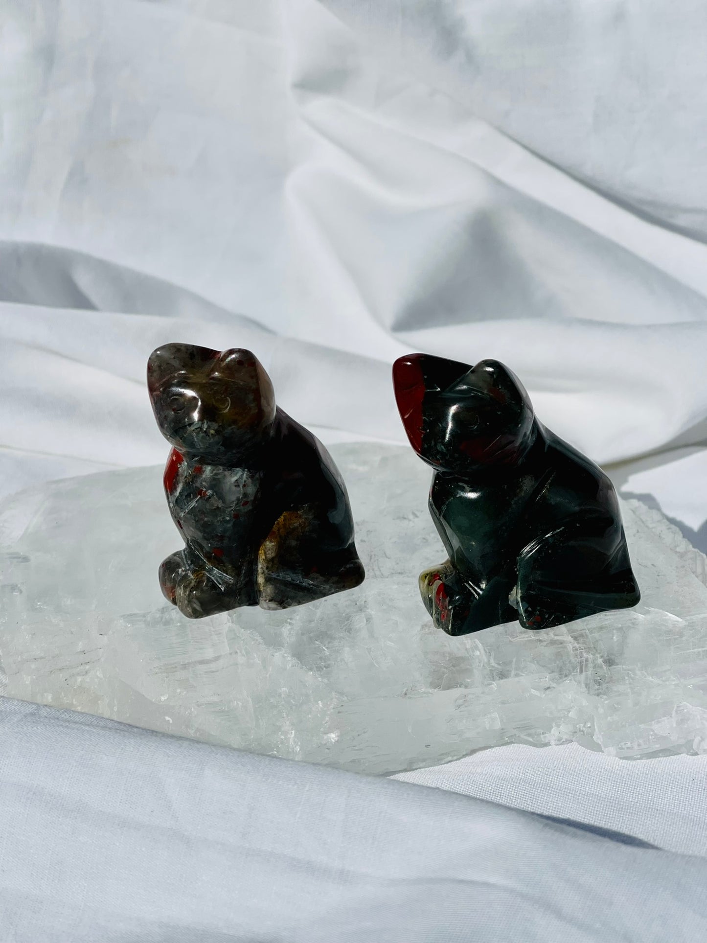 African Bloodstone Cat