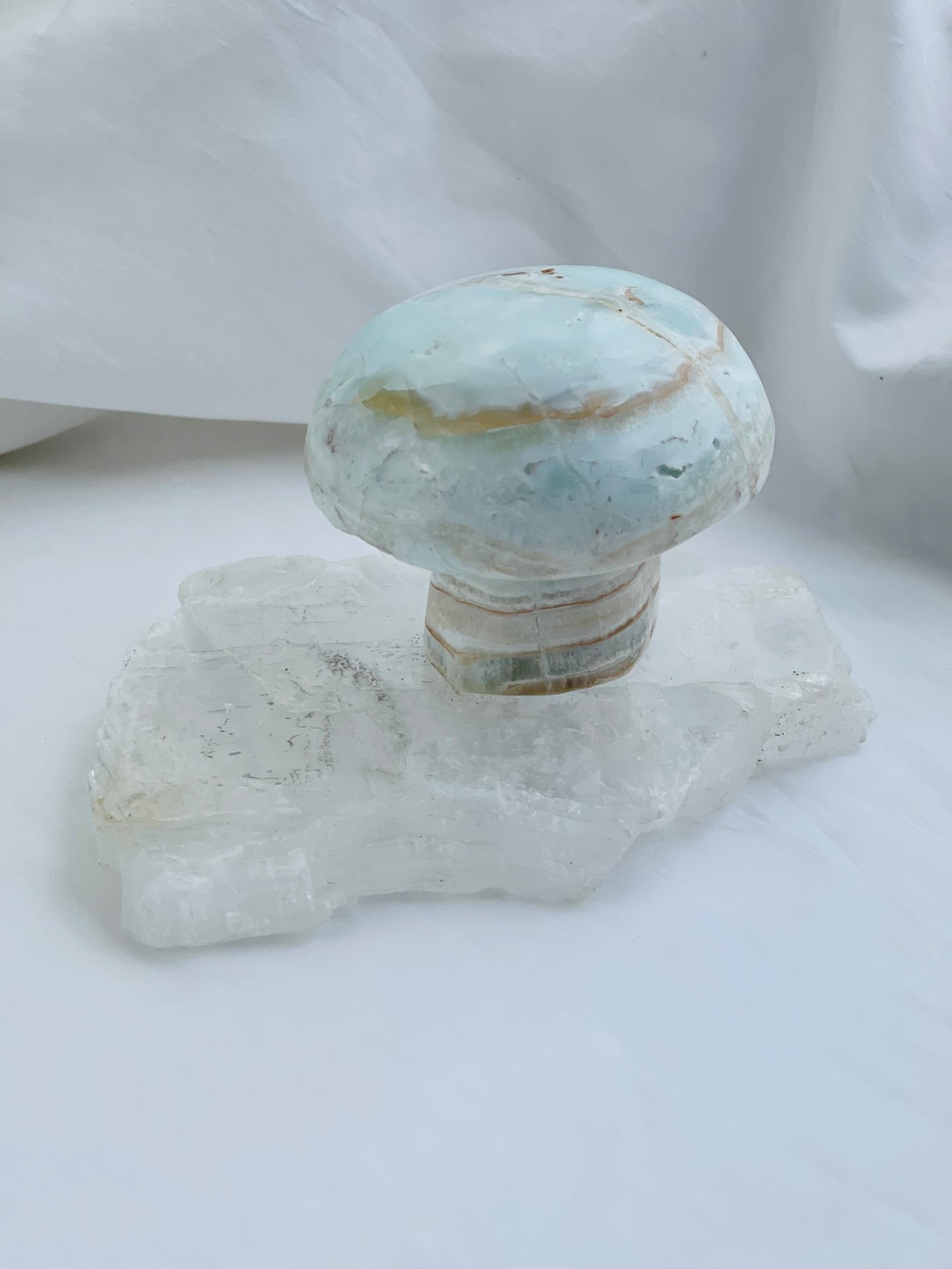 Caribbean Calcite Mushroom