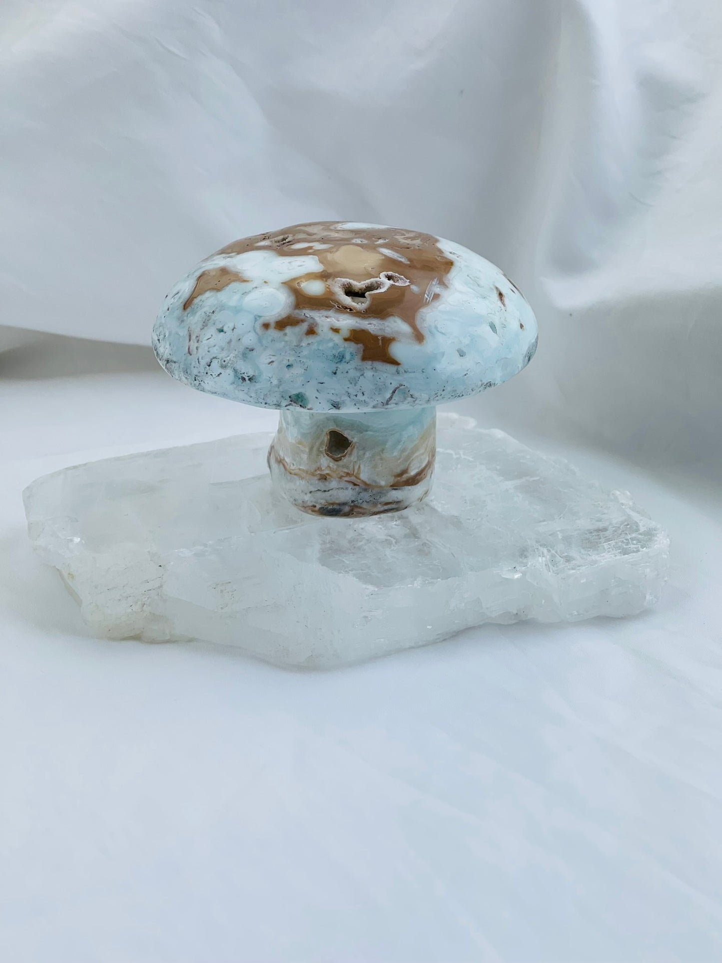 Caribbean Calcite Mushroom