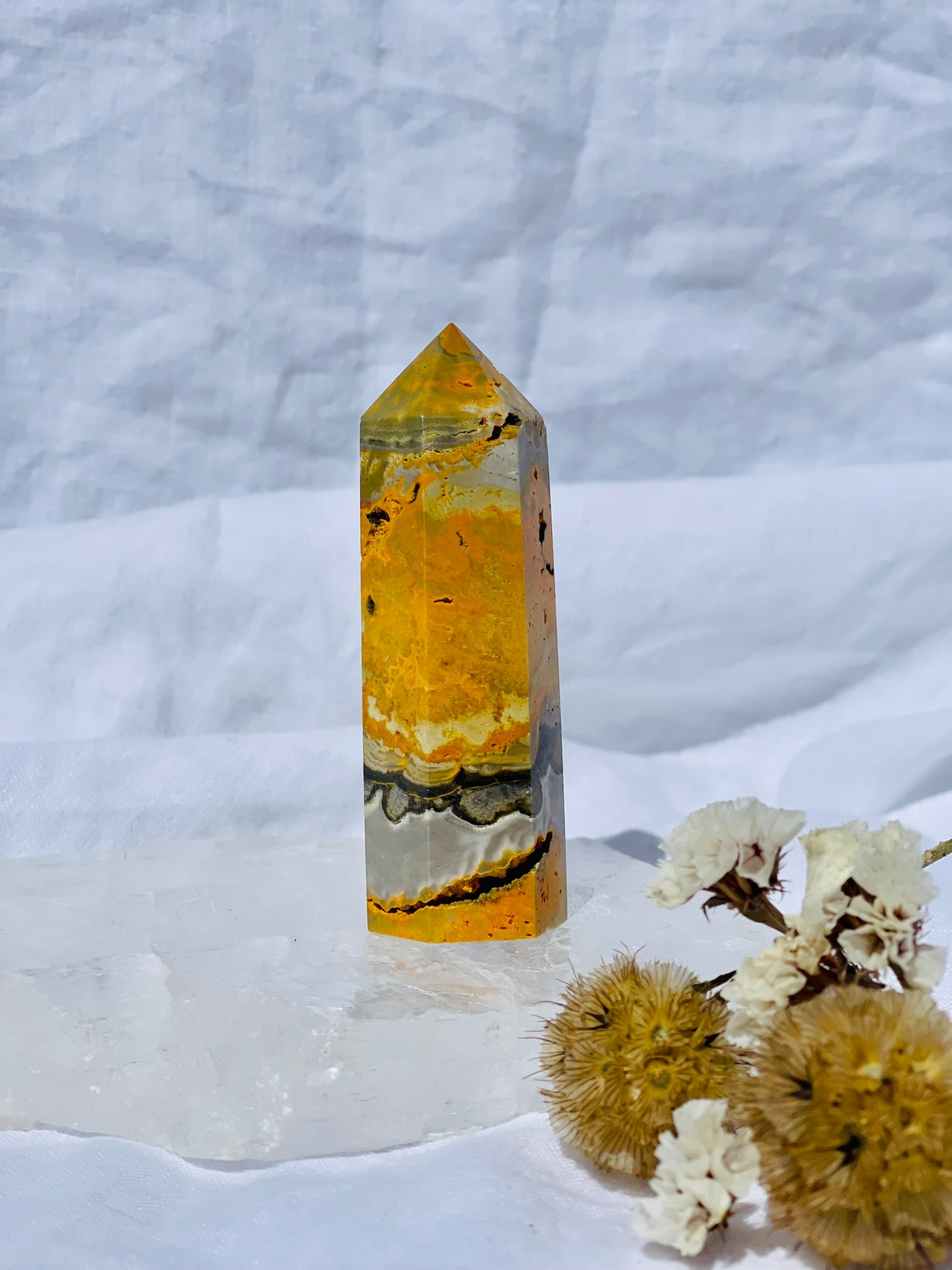 Bumble Bee Jasper Point