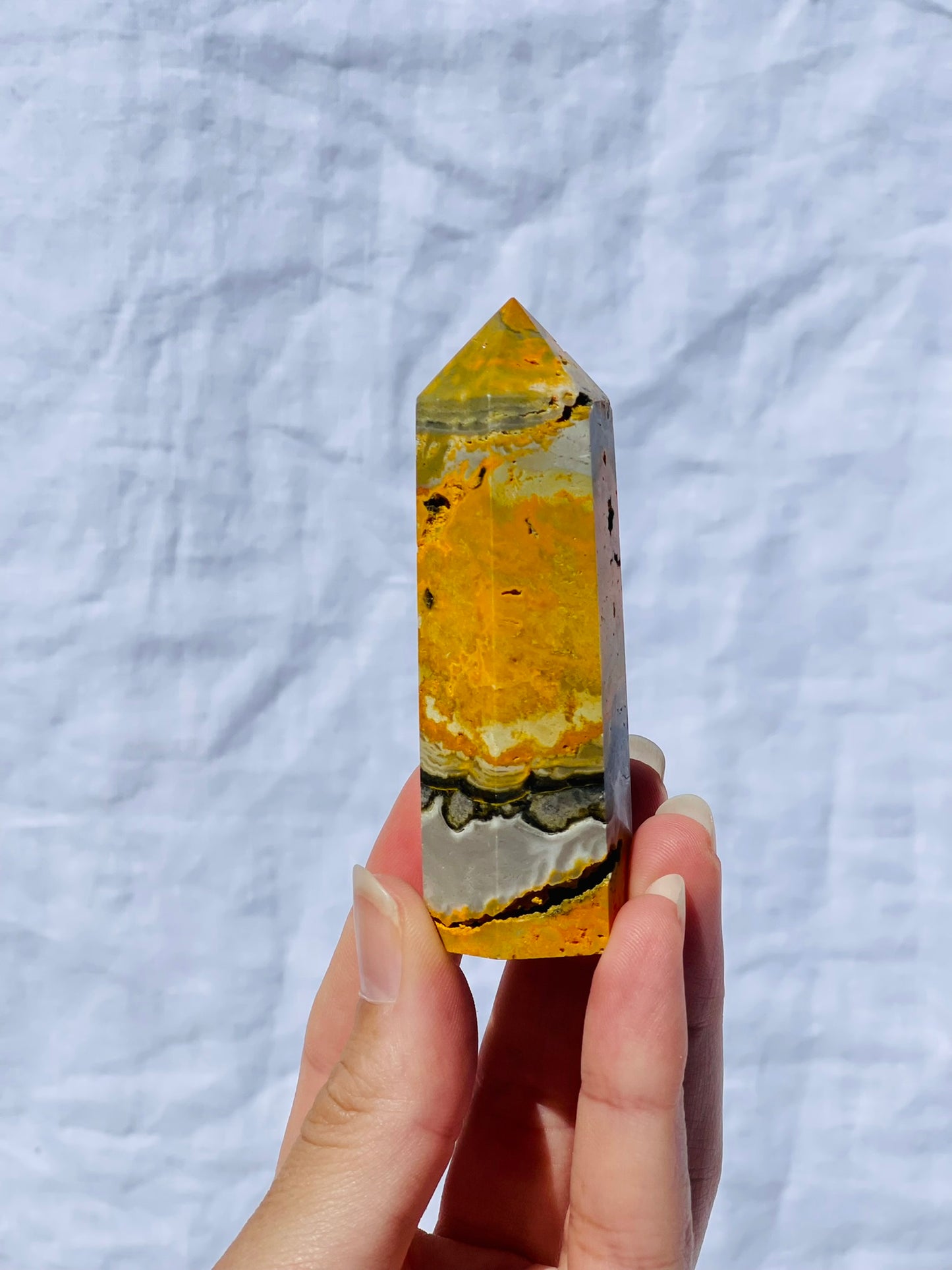 Bumble Bee Jasper Point