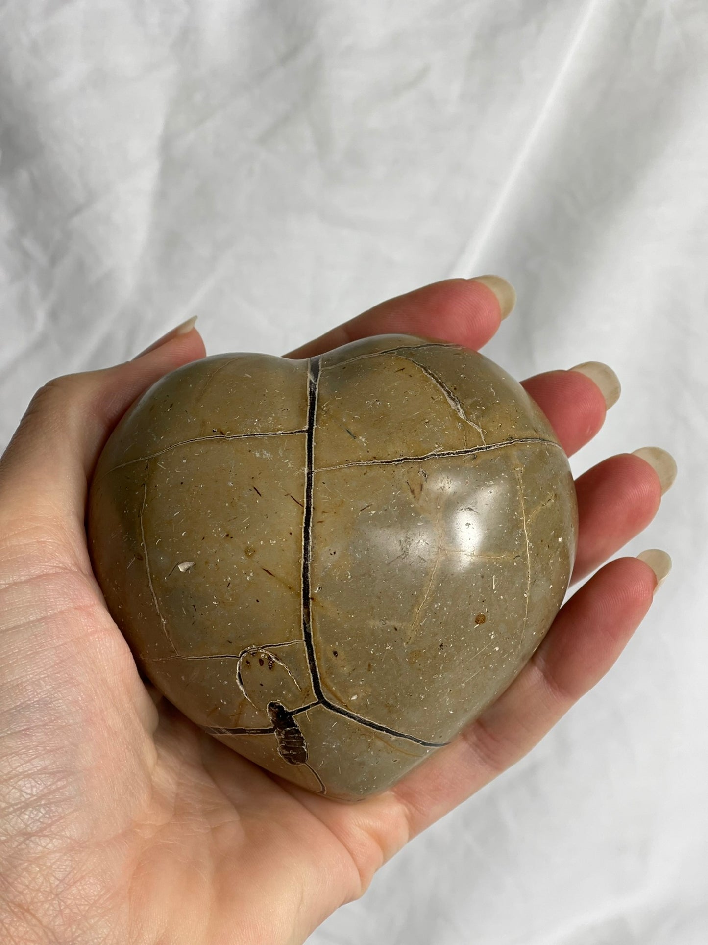 Black Septarian heart