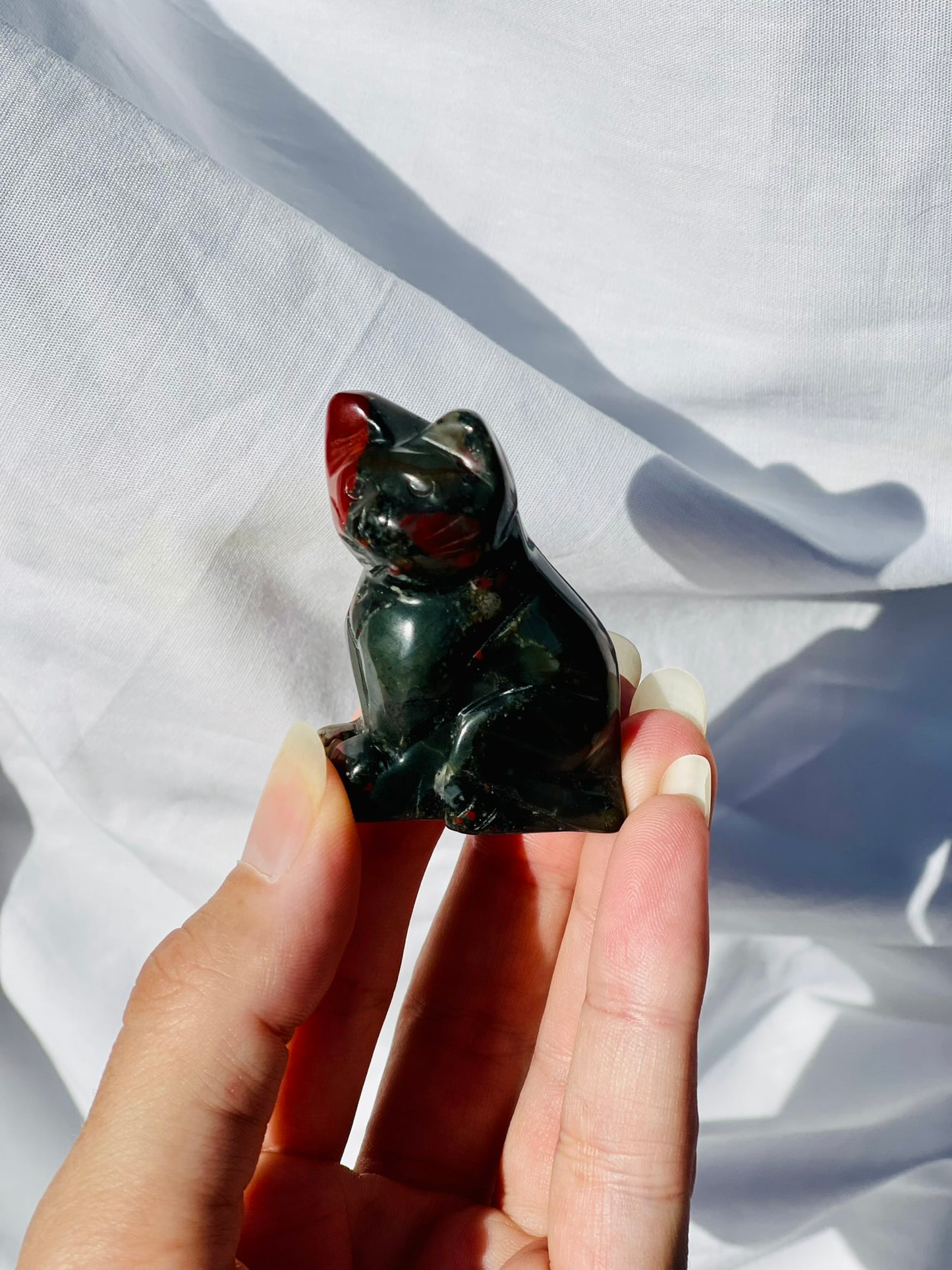 African Bloodstone Cat