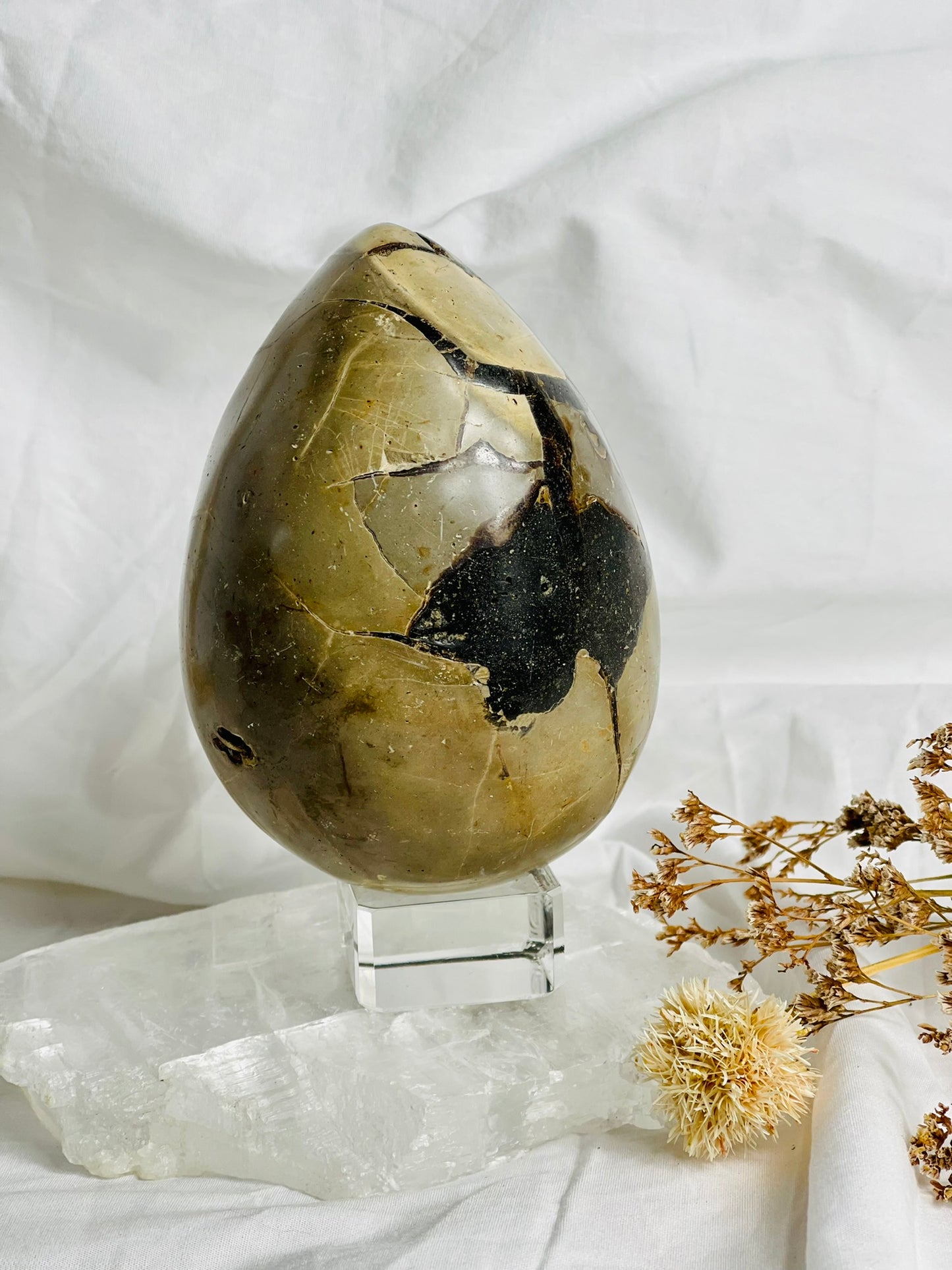 Black Septarian Egg