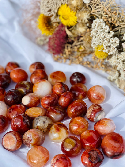 Carnelian Tumble | Jumbo